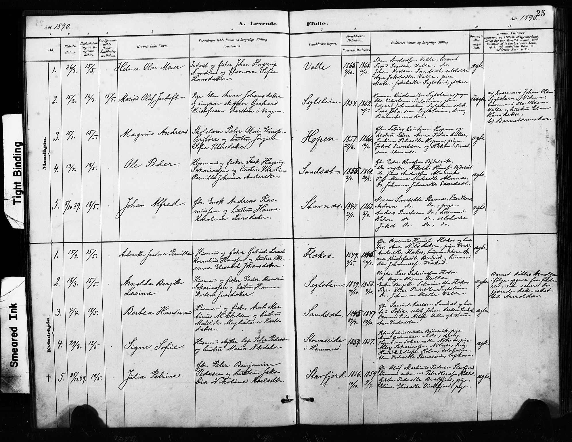 Ministerialprotokoller, klokkerbøker og fødselsregistre - Nordland, AV/SAT-A-1459/858/L0834: Klokkerbok nr. 858C01, 1884-1904, s. 25