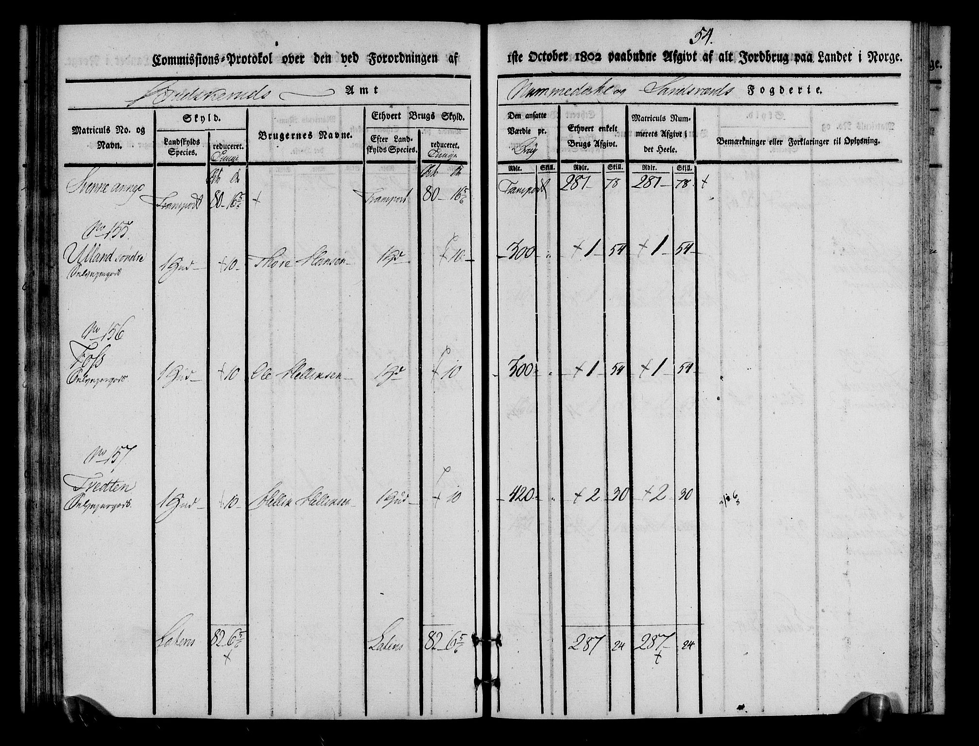 Rentekammeret inntil 1814, Realistisk ordnet avdeling, AV/RA-EA-4070/N/Ne/Nea/L0055: Numedal og Sandsvær fogderi. Kommisjonsprotokoll for Flesberg prestegjeld, 1803, s. 55