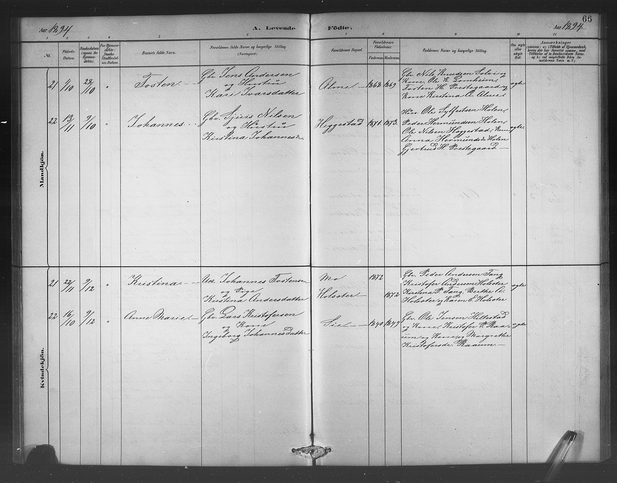 Hafslo sokneprestembete, AV/SAB-A-80301/H/Hab/Habb/L0001: Klokkerbok nr. B 1, 1882-1908, s. 66