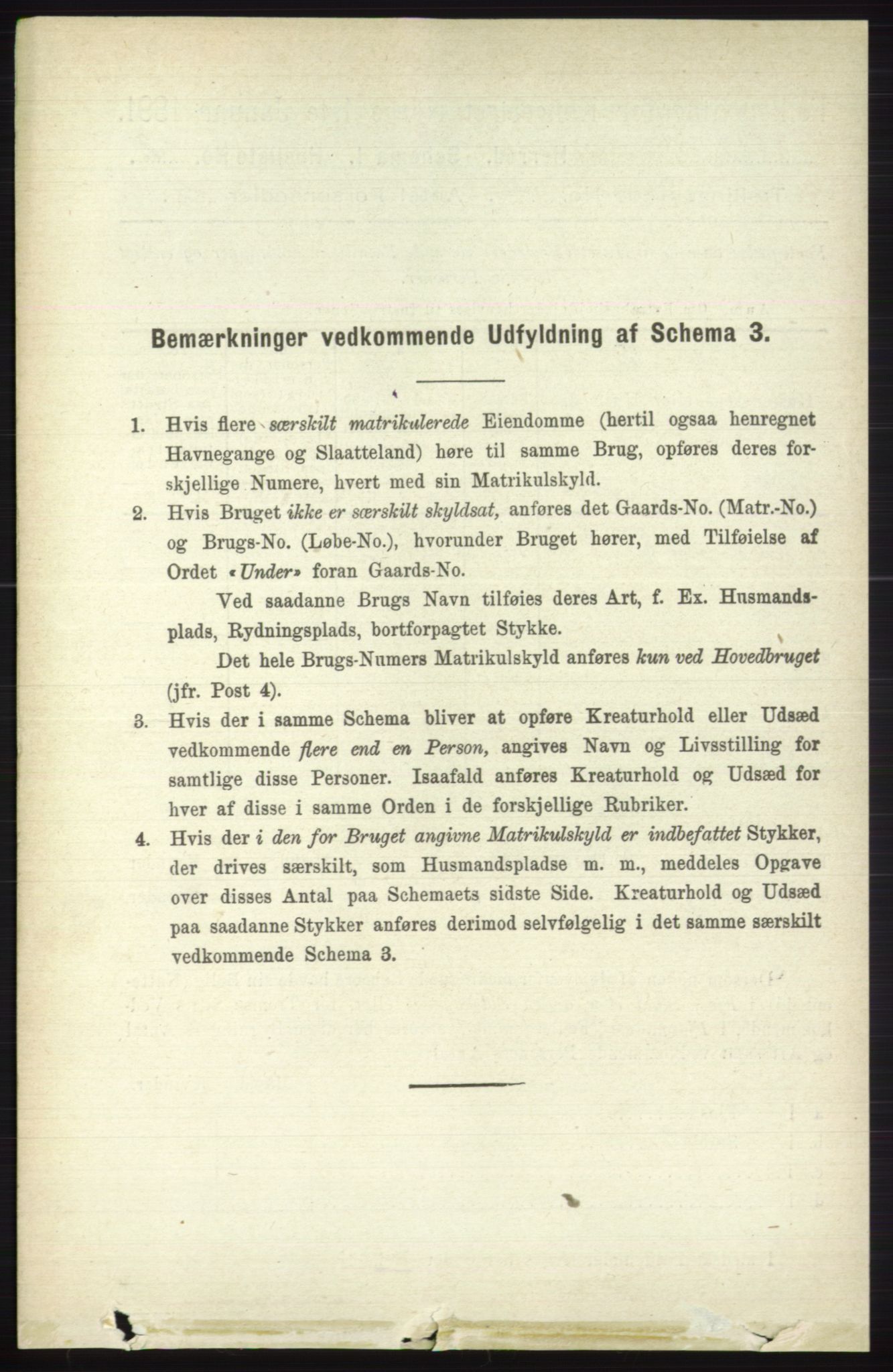 RA, Folketelling 1891 for 0544 Øystre Slidre herred, 1891, s. 1199