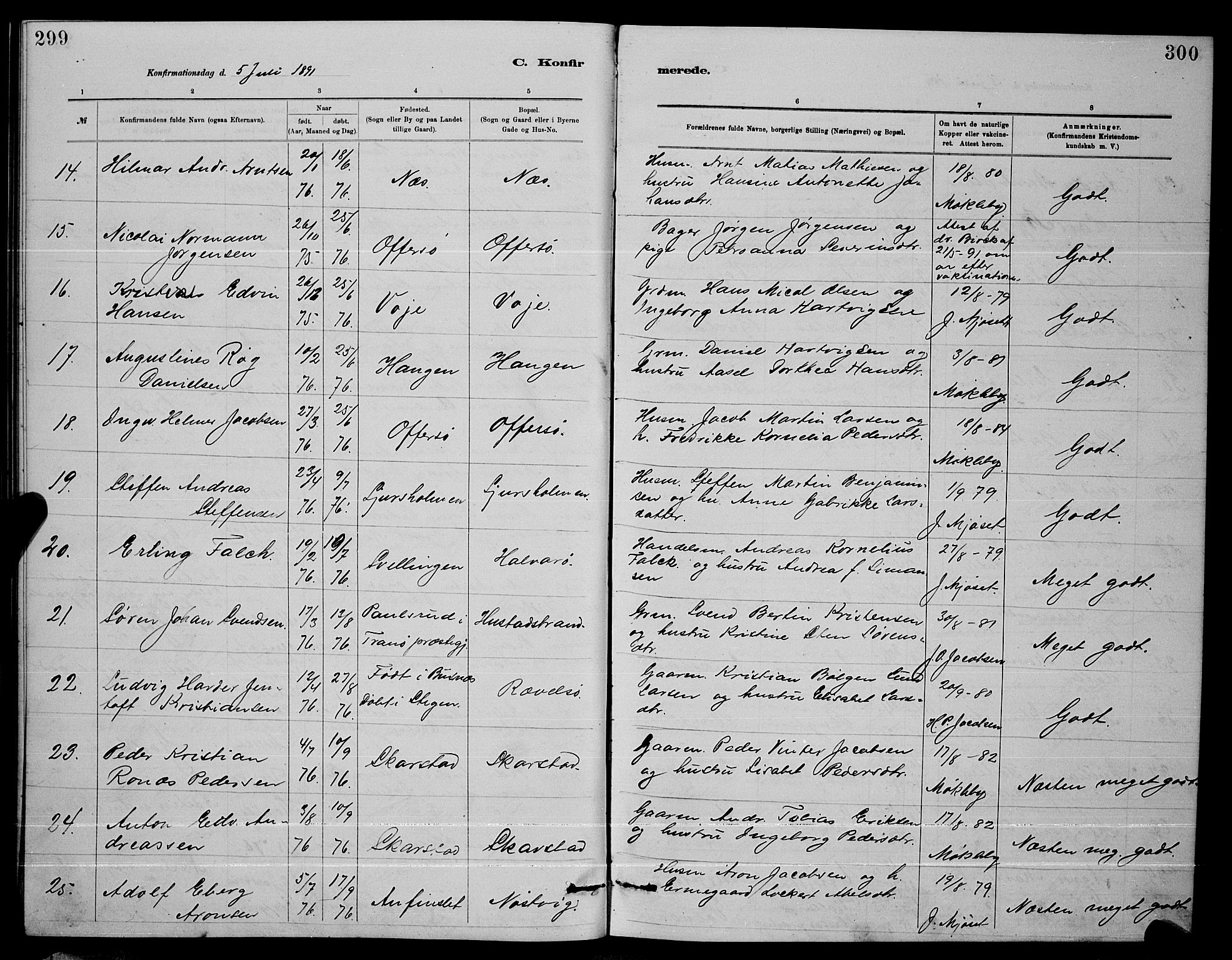 Ministerialprotokoller, klokkerbøker og fødselsregistre - Nordland, AV/SAT-A-1459/872/L1047: Klokkerbok nr. 872C03, 1880-1897, s. 299-300