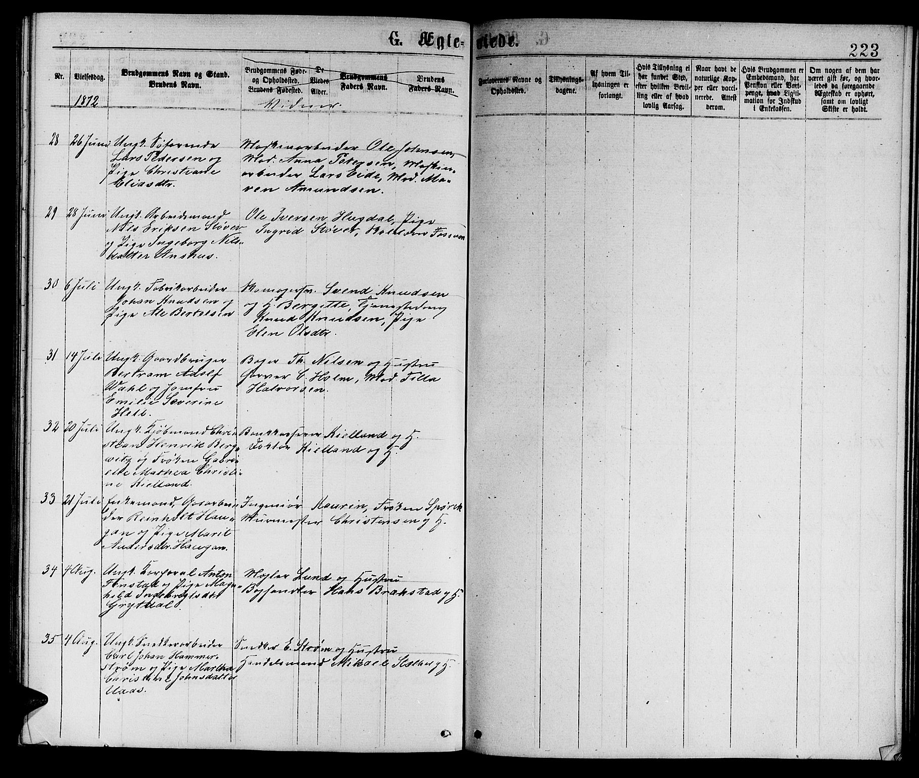 Ministerialprotokoller, klokkerbøker og fødselsregistre - Sør-Trøndelag, AV/SAT-A-1456/601/L0088: Klokkerbok nr. 601C06, 1870-1878, s. 223