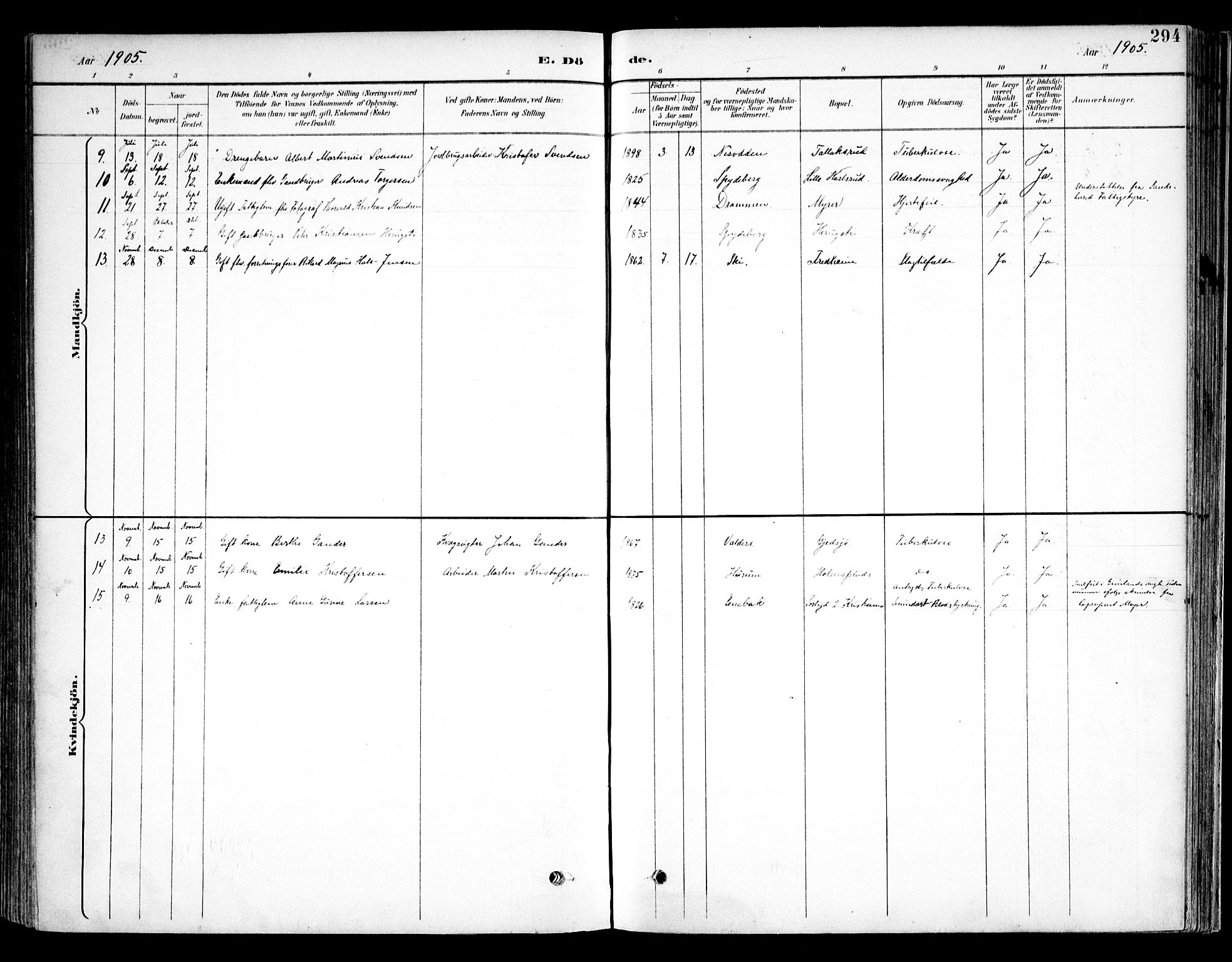 Kråkstad prestekontor Kirkebøker, SAO/A-10125a/F/Fb/L0002: Ministerialbok nr. II 2, 1893-1917, s. 294