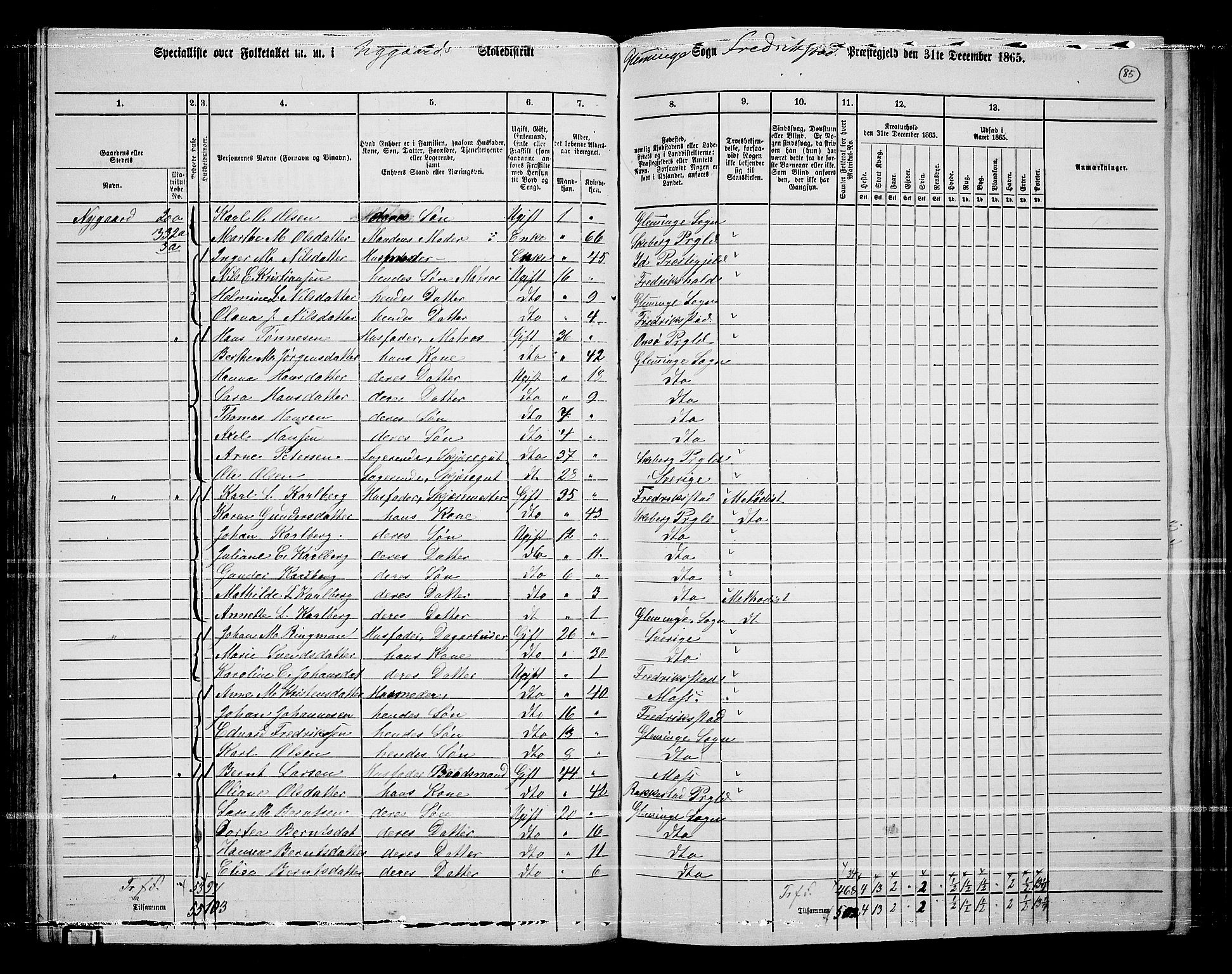 RA, Folketelling 1865 for 0132L Fredrikstad prestegjeld, Glemmen sokn, 1865, s. 81