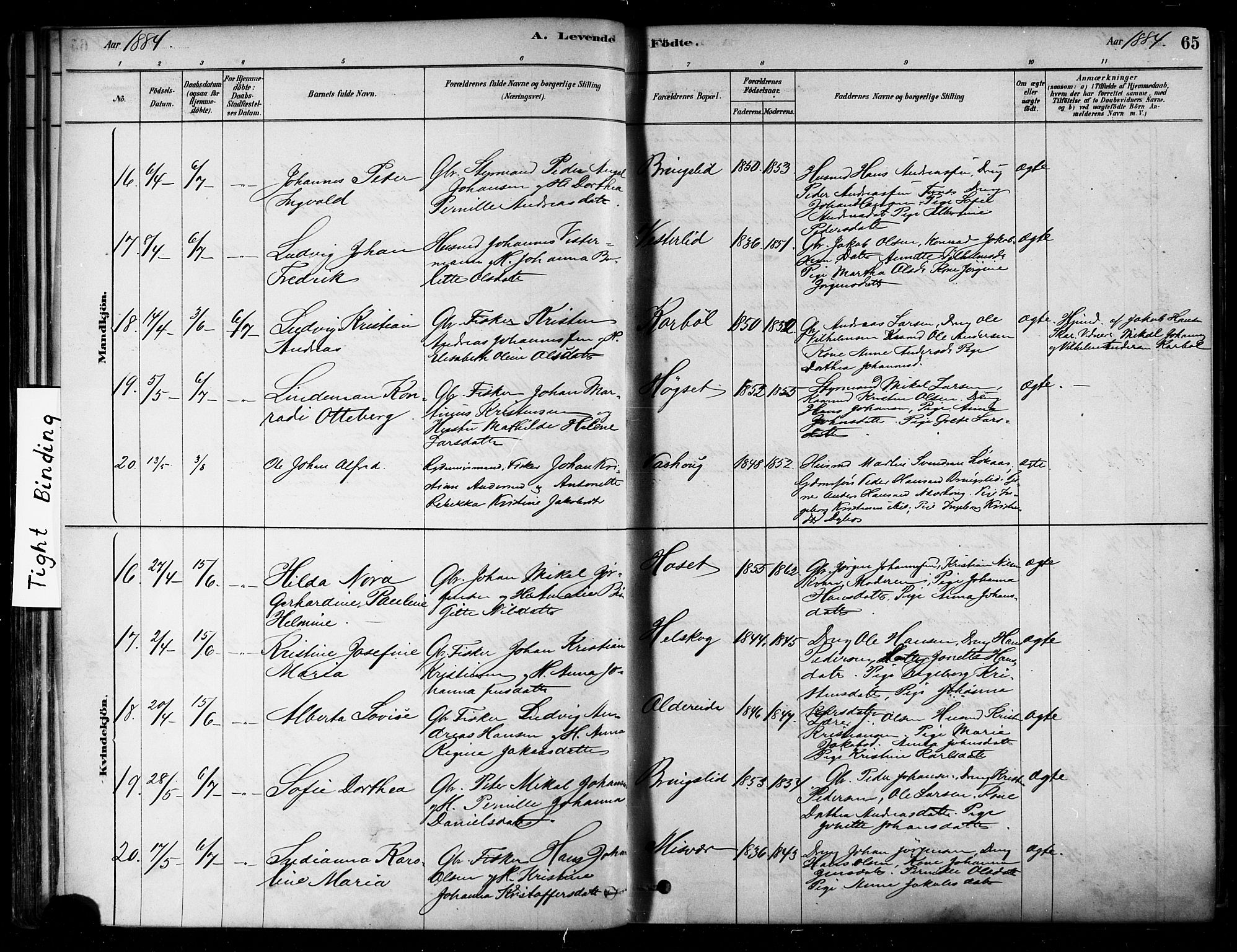 Ministerialprotokoller, klokkerbøker og fødselsregistre - Nordland, SAT/A-1459/852/L0740: Ministerialbok nr. 852A10, 1878-1894, s. 65