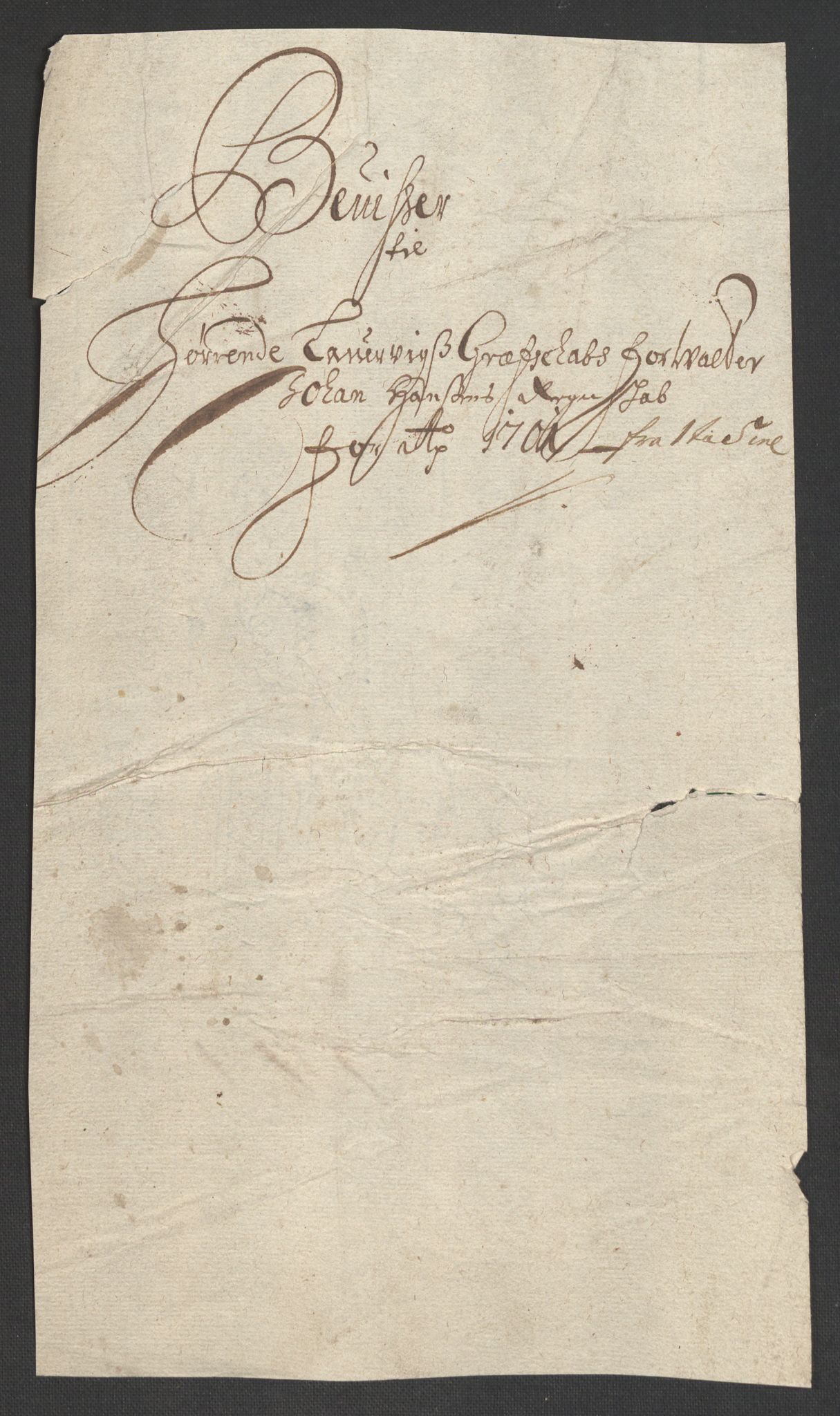 Rentekammeret inntil 1814, Reviderte regnskaper, Fogderegnskap, RA/EA-4092/R33/L1976: Fogderegnskap Larvik grevskap, 1698-1701, s. 317