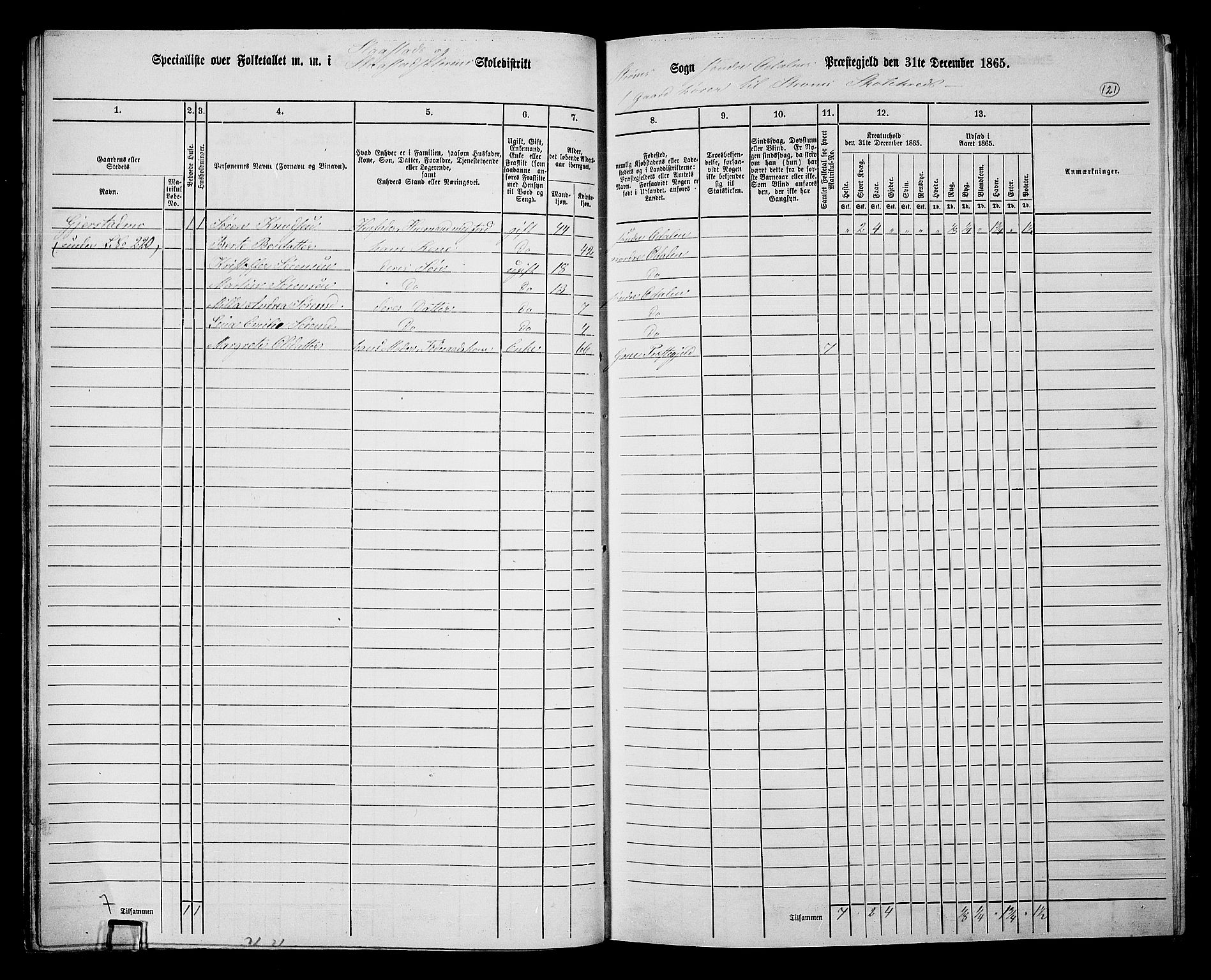 RA, Folketelling 1865 for 0419P Sør-Odal prestegjeld, 1865, s. 111