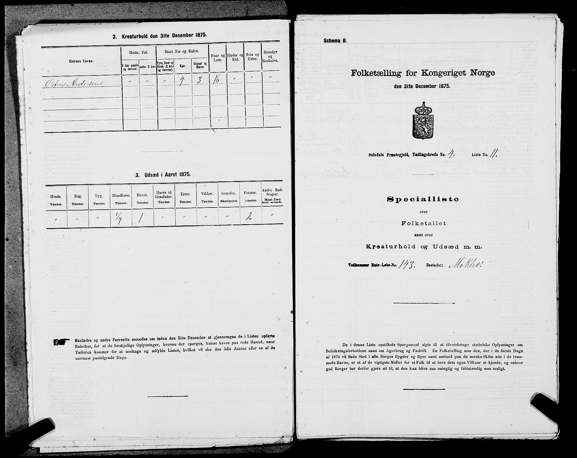 SAST, Folketelling 1875 for 1134P Suldal prestegjeld, 1875, s. 521