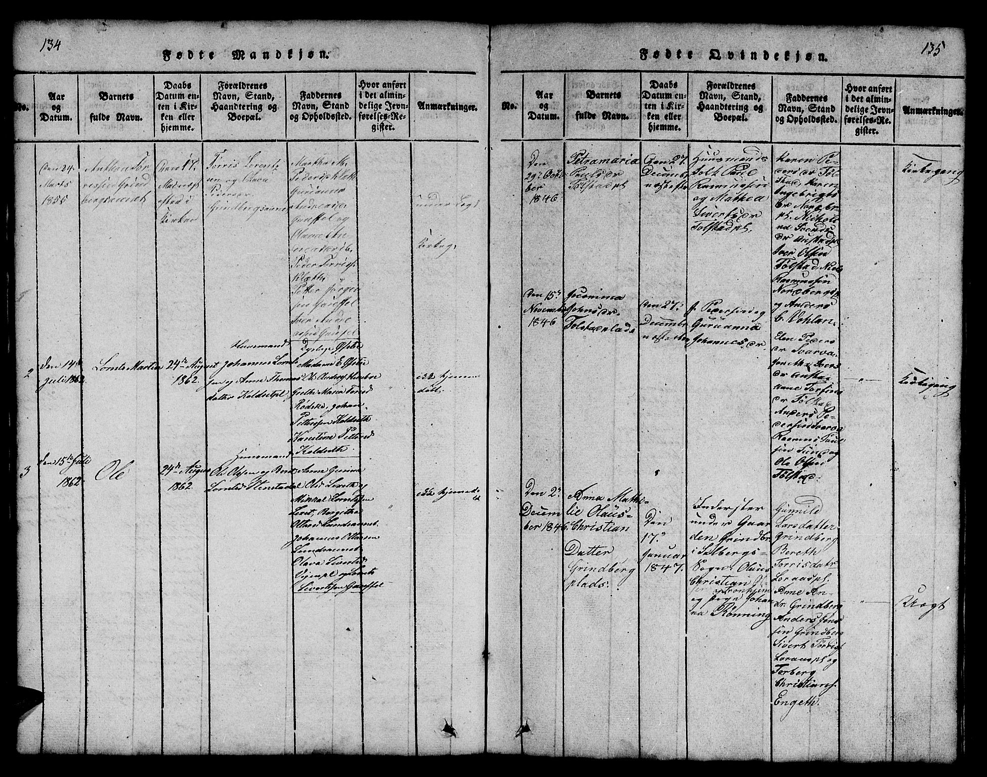 Ministerialprotokoller, klokkerbøker og fødselsregistre - Nord-Trøndelag, SAT/A-1458/731/L0310: Klokkerbok nr. 731C01, 1816-1874, s. 134-135