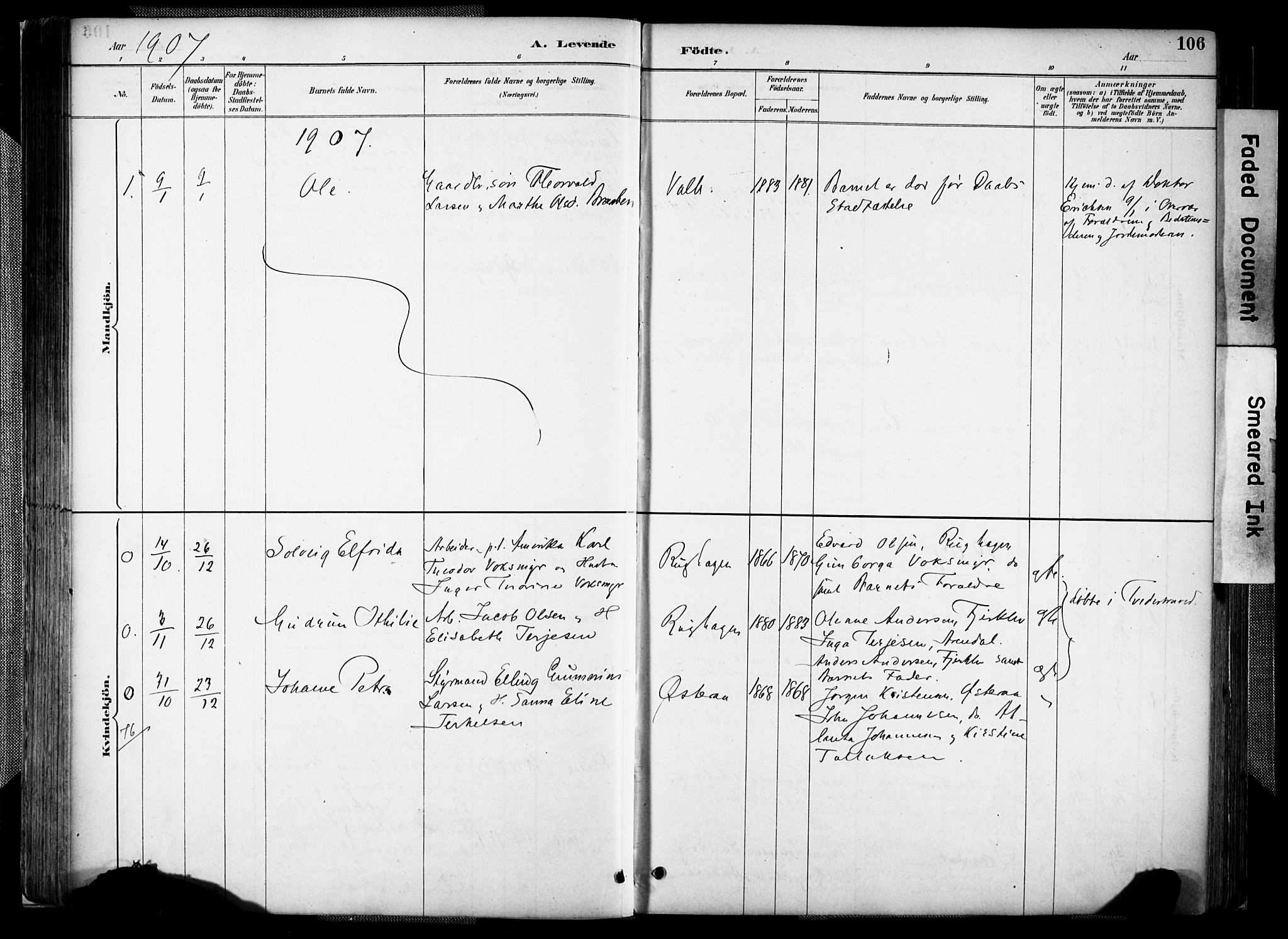 Holt sokneprestkontor, SAK/1111-0021/F/Fa/L0012: Ministerialbok nr. A 12, 1885-1907, s. 106