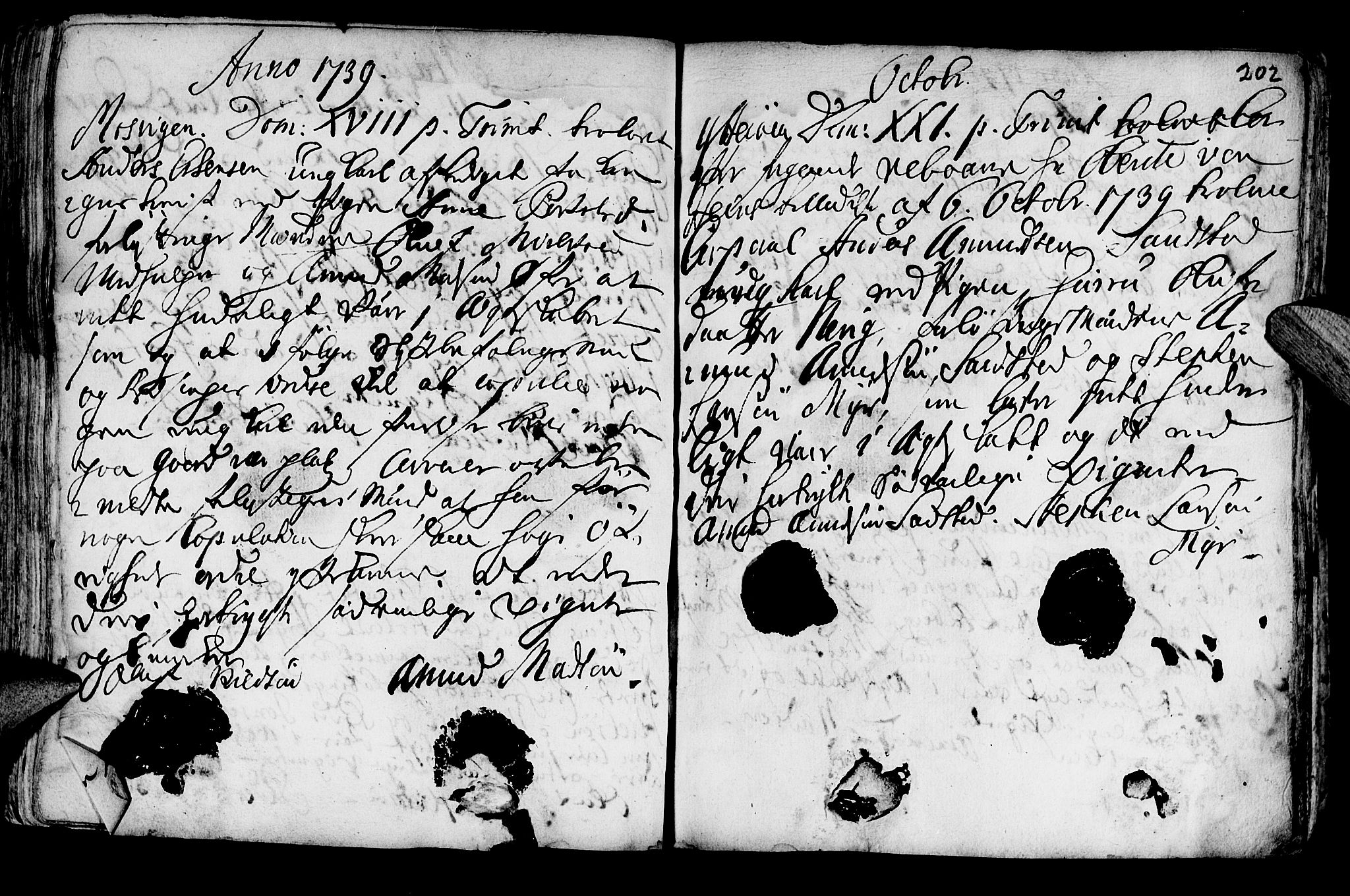 Ministerialprotokoller, klokkerbøker og fødselsregistre - Nord-Trøndelag, AV/SAT-A-1458/722/L0215: Ministerialbok nr. 722A02, 1718-1755, s. 202