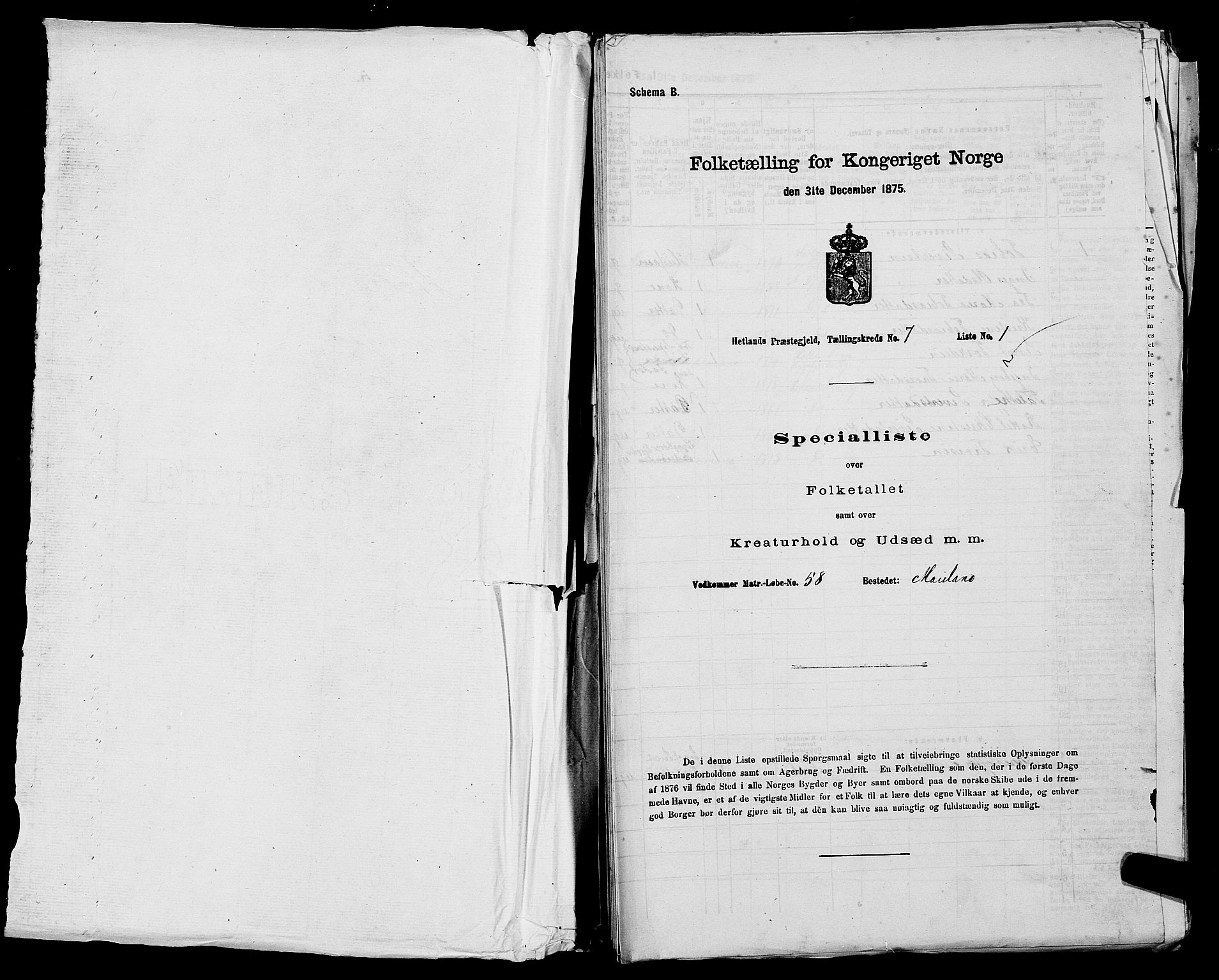 SAST, Folketelling 1875 for 1126P Hetland prestegjeld, 1875, s. 1431