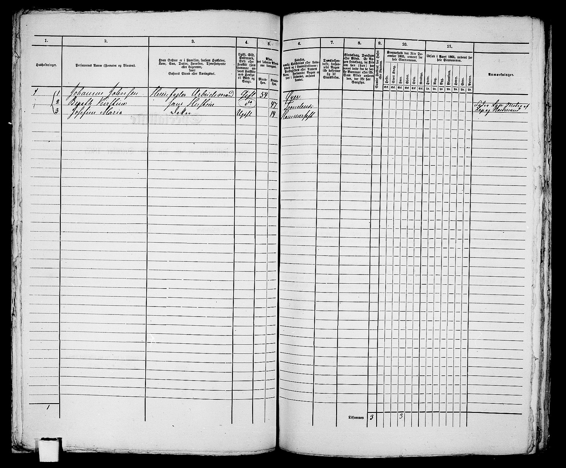 RA, Folketelling 1865 for 2001B Hammerfest prestegjeld, Hammerfest kjøpstad, 1865, s. 218