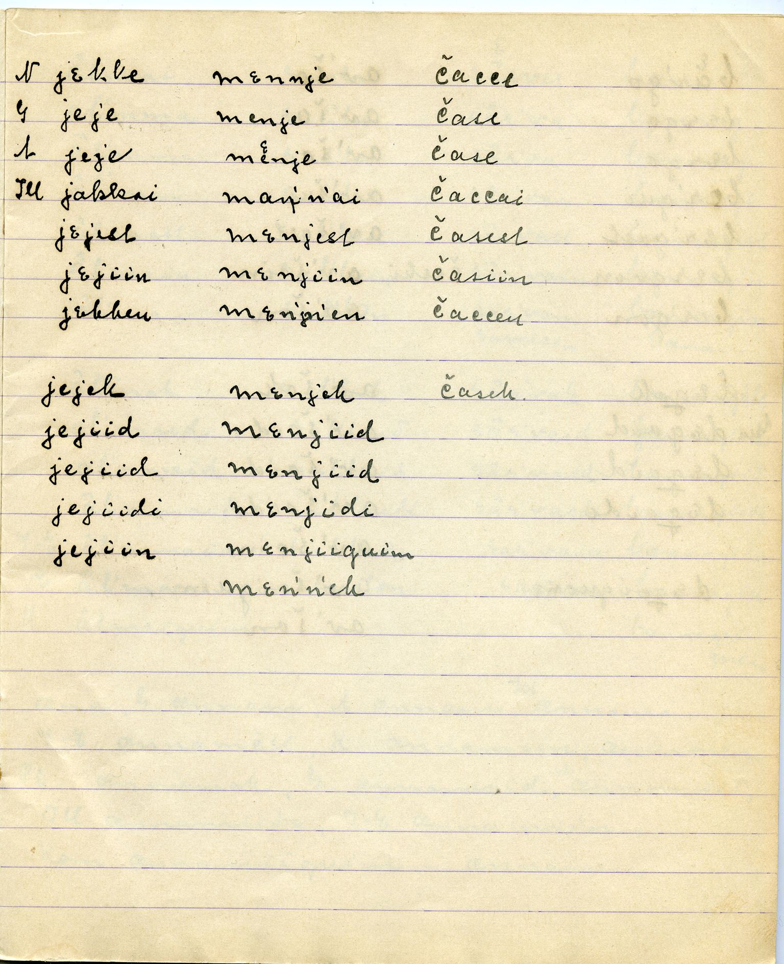 Johan Beronkas testamentariske gave, FMFB/A-1098/G/L0020: Notatbok om Nesseby–lappisk / Nesseby-dialekten (5 stykker), s. 119