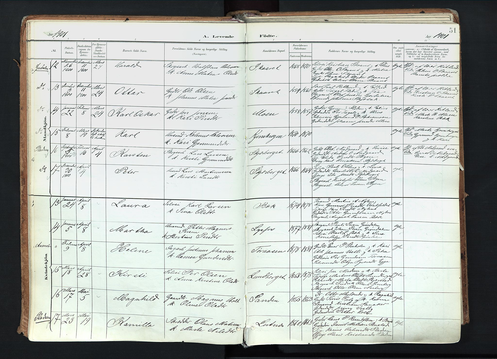 Trysil prestekontor, AV/SAH-PREST-046/H/Ha/Haa/L0012: Ministerialbok nr. 12, 1898-1917, s. 51