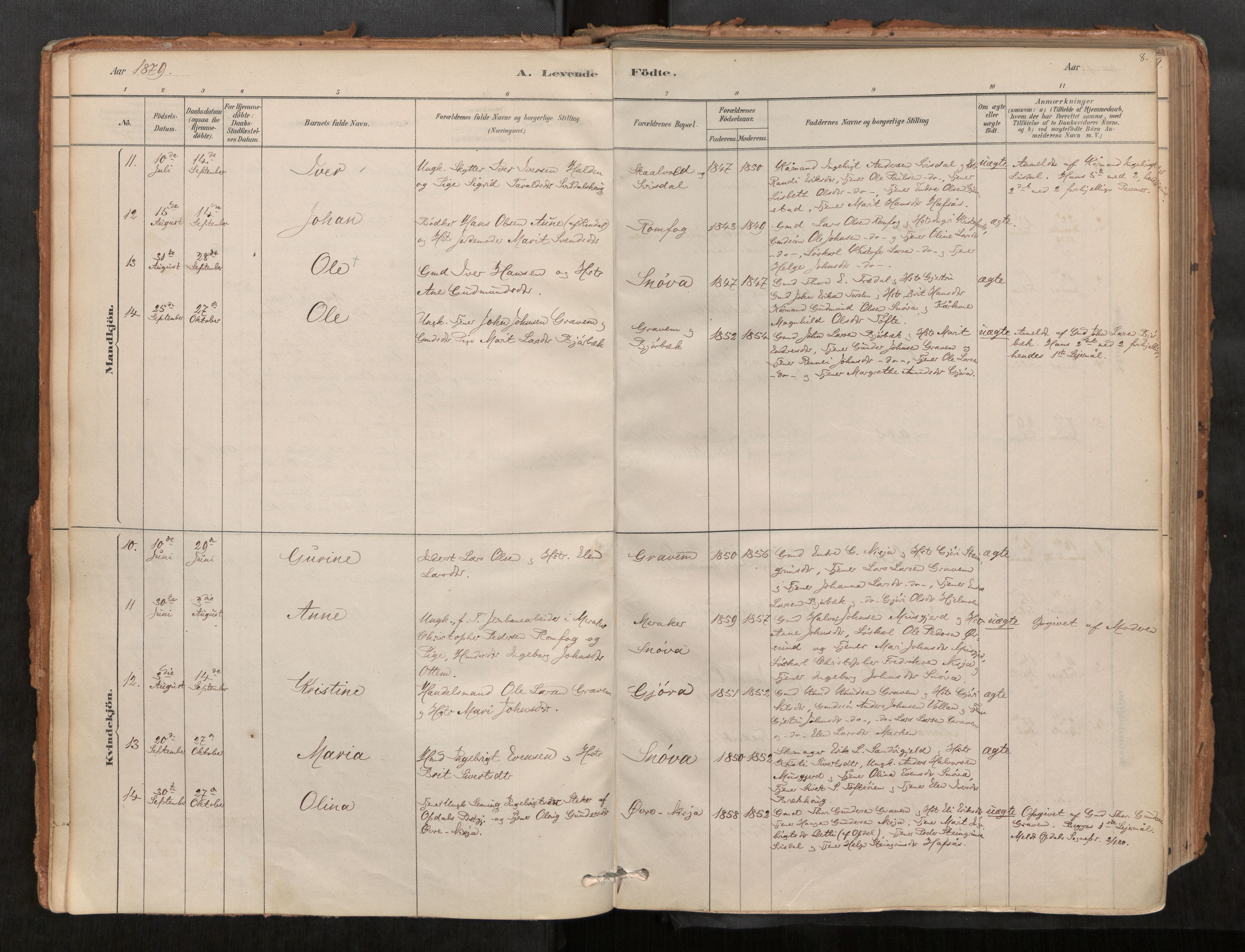 Sunndal sokneprestkontor, AV/SAT-A-1085/1/I/I1/I1a/L0001: Ministerialbok nr. 1, 1877-1914, s. 8