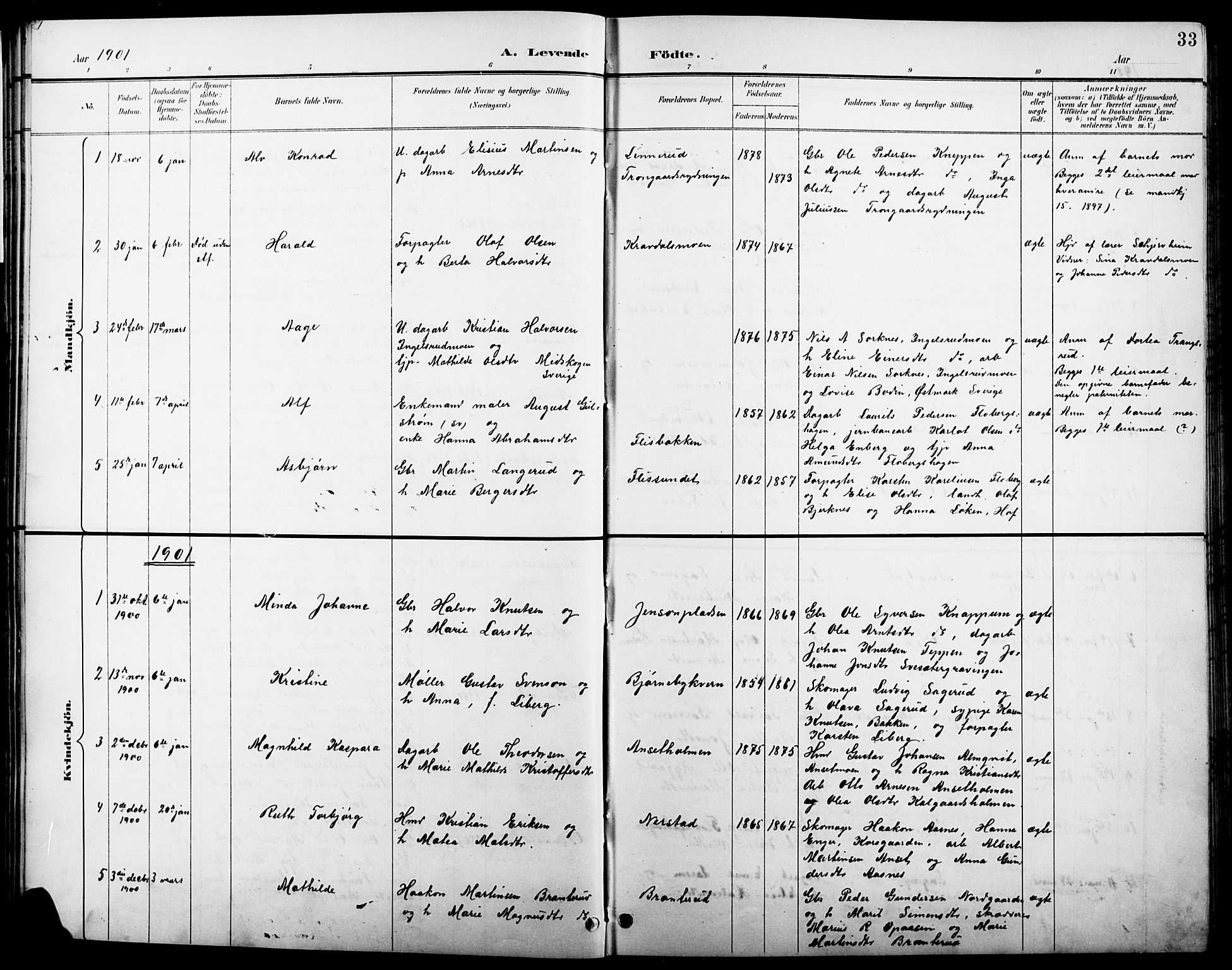 Åsnes prestekontor, AV/SAH-PREST-042/H/Ha/Hab/L0004: Klokkerbok nr. 4, 1895-1909, s. 33