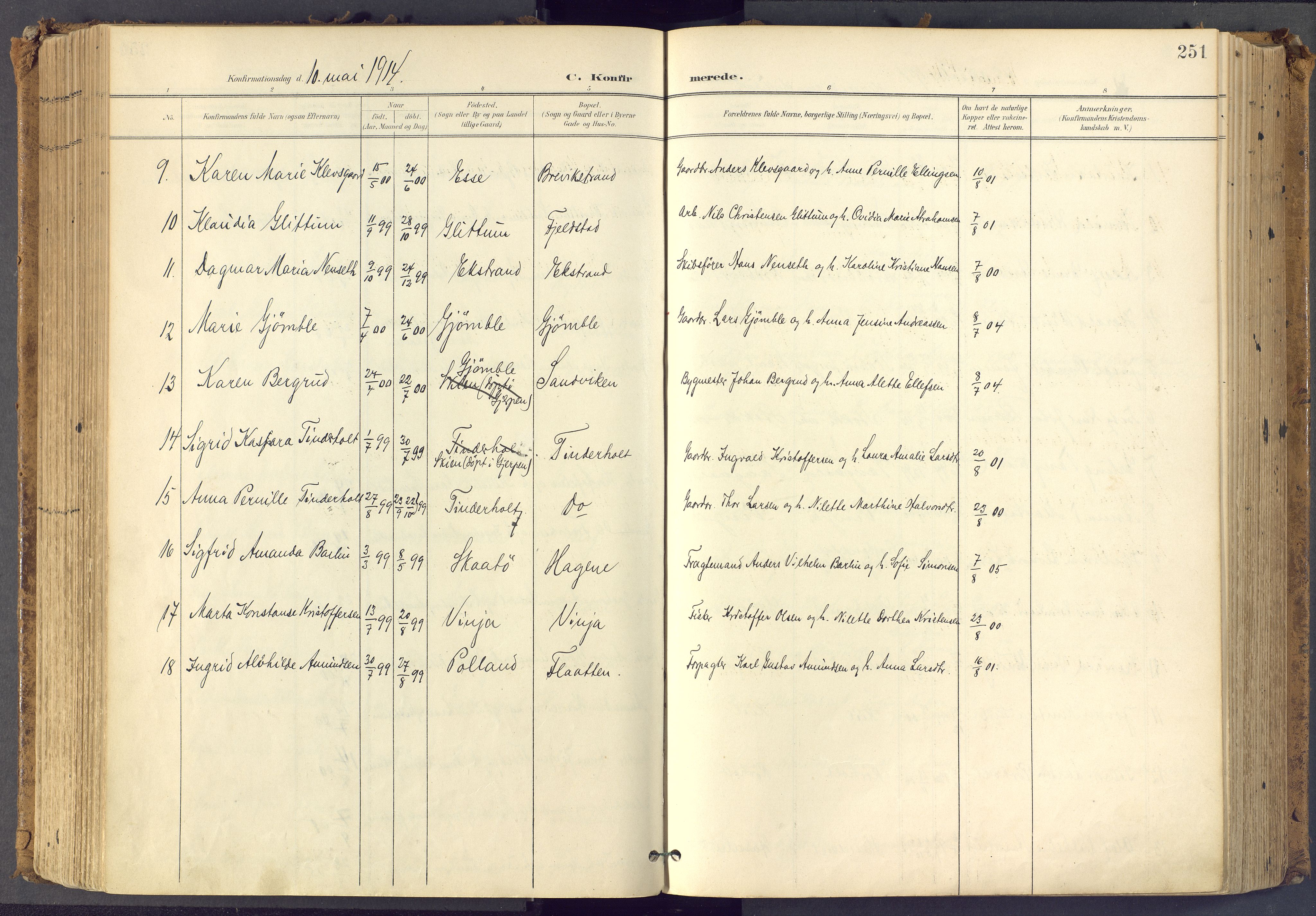 Bamble kirkebøker, SAKO/A-253/F/Fa/L0009: Ministerialbok nr. I 9, 1901-1917, s. 251