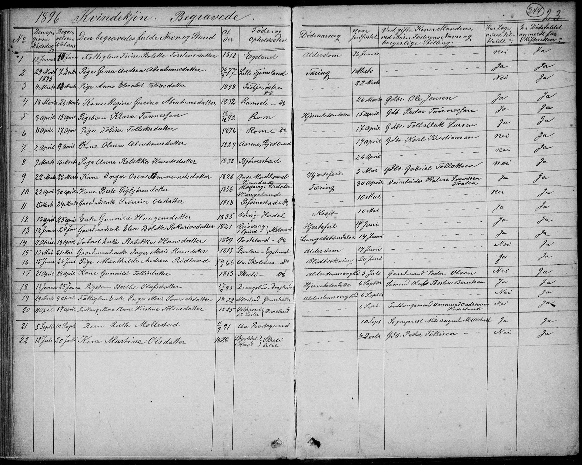 Lyngdal sokneprestkontor, AV/SAK-1111-0029/F/Fb/Fbc/L0004: Klokkerbok nr. B 4, 1878-1896, s. 244