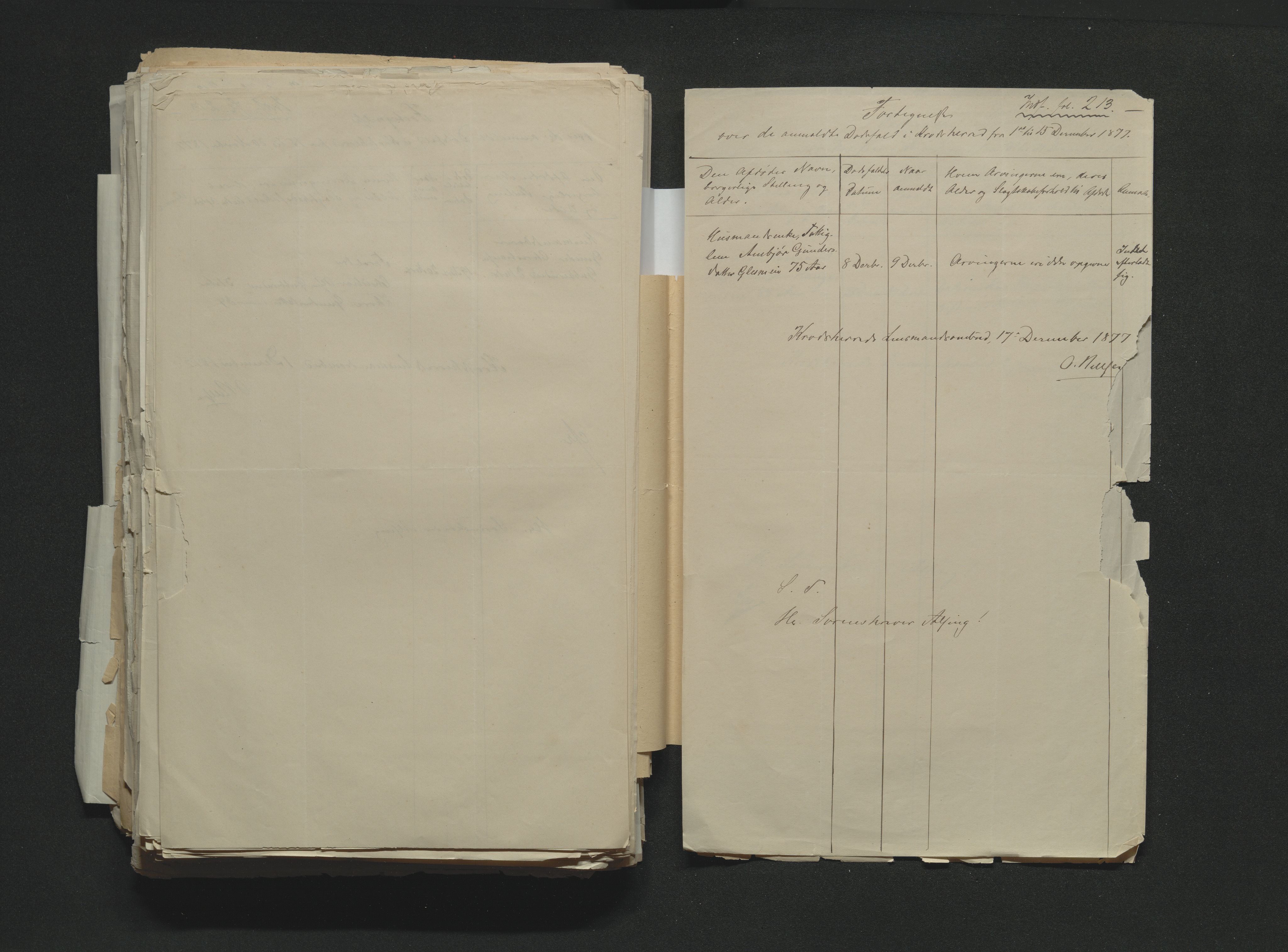 Eiker, Modum og Sigdal sorenskriveri, AV/SAKO-A-123/H/Ha/Hab/L0014: Dødsfallsmeldinger, 1874-1877, s. 753