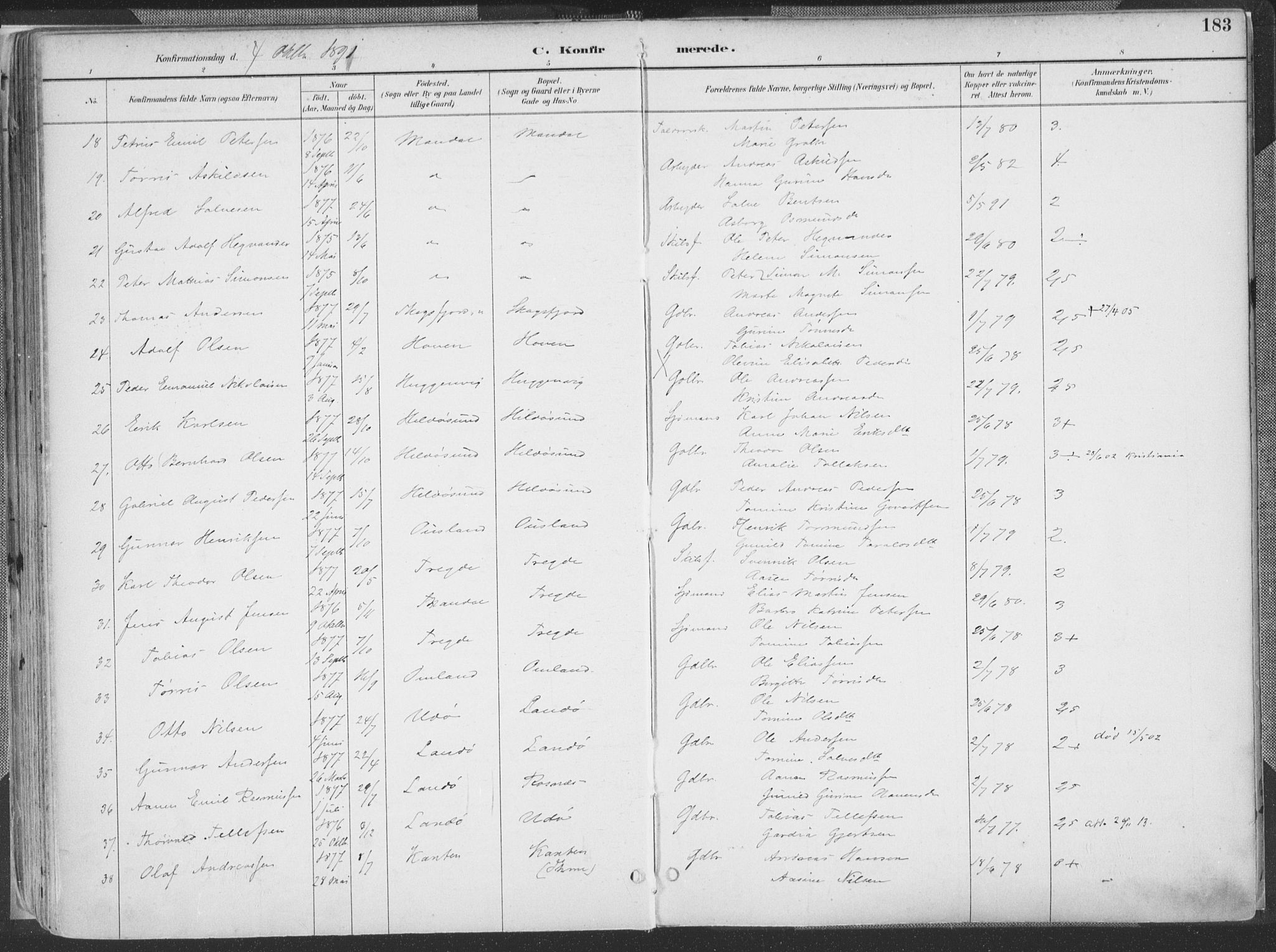 Mandal sokneprestkontor, AV/SAK-1111-0030/F/Fa/Faa/L0018: Ministerialbok nr. A 18, 1890-1905, s. 183
