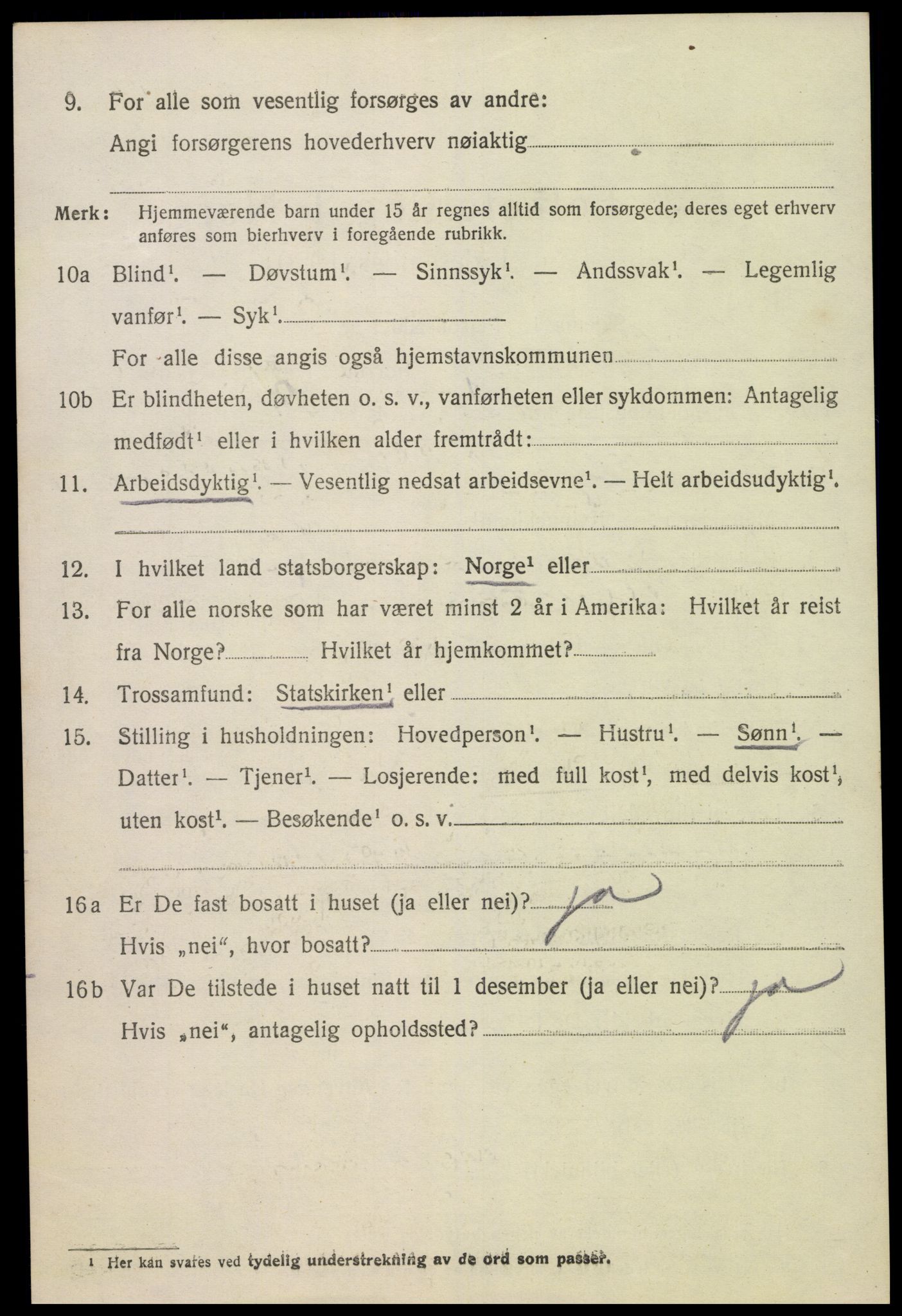 SAK, Folketelling 1920 for 0936 Hornnes herred, 1920, s. 3232