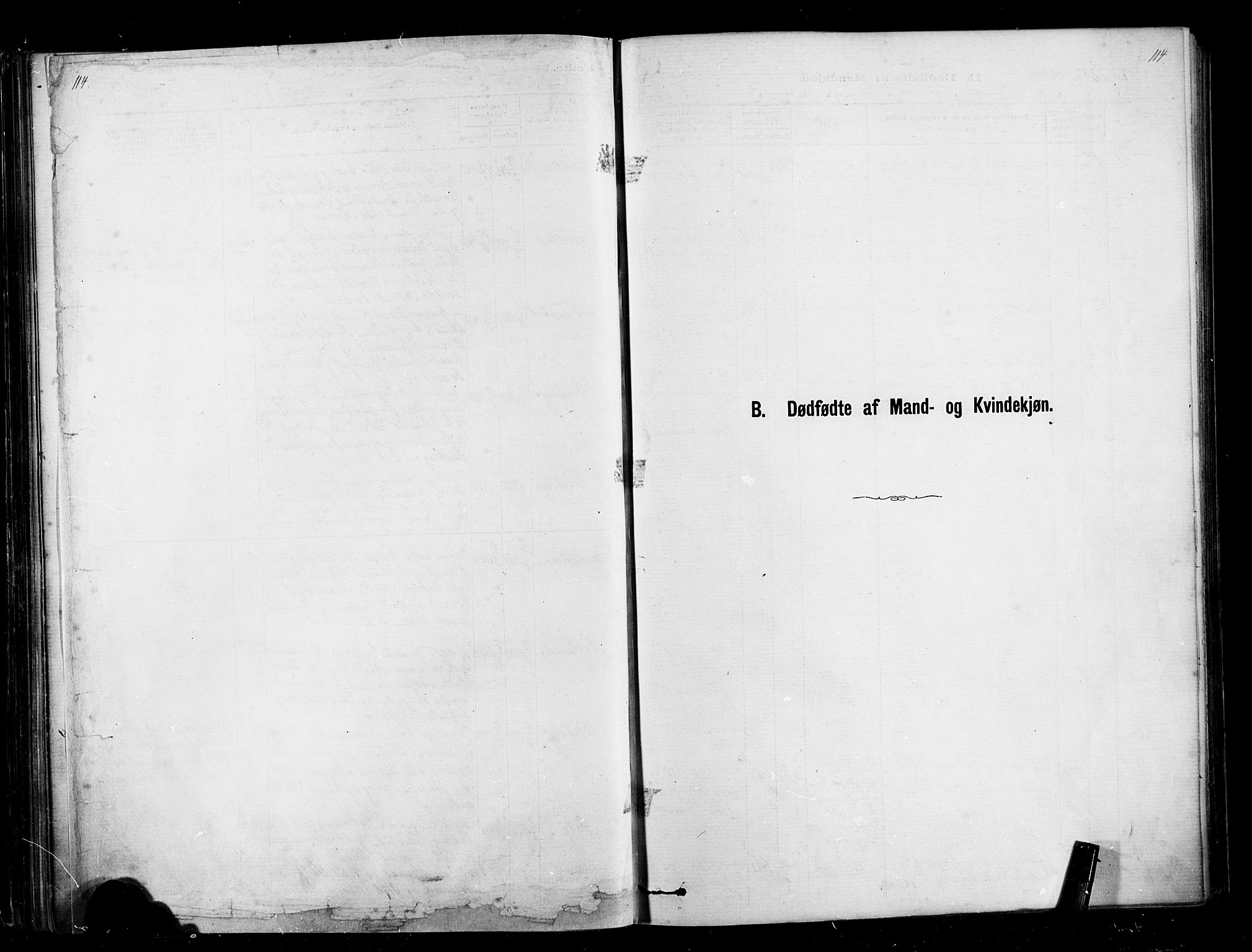 Ministerialprotokoller, klokkerbøker og fødselsregistre - Møre og Romsdal, SAT/A-1454/567/L0778: Ministerialbok nr. 567A01, 1881-1903, s. 114