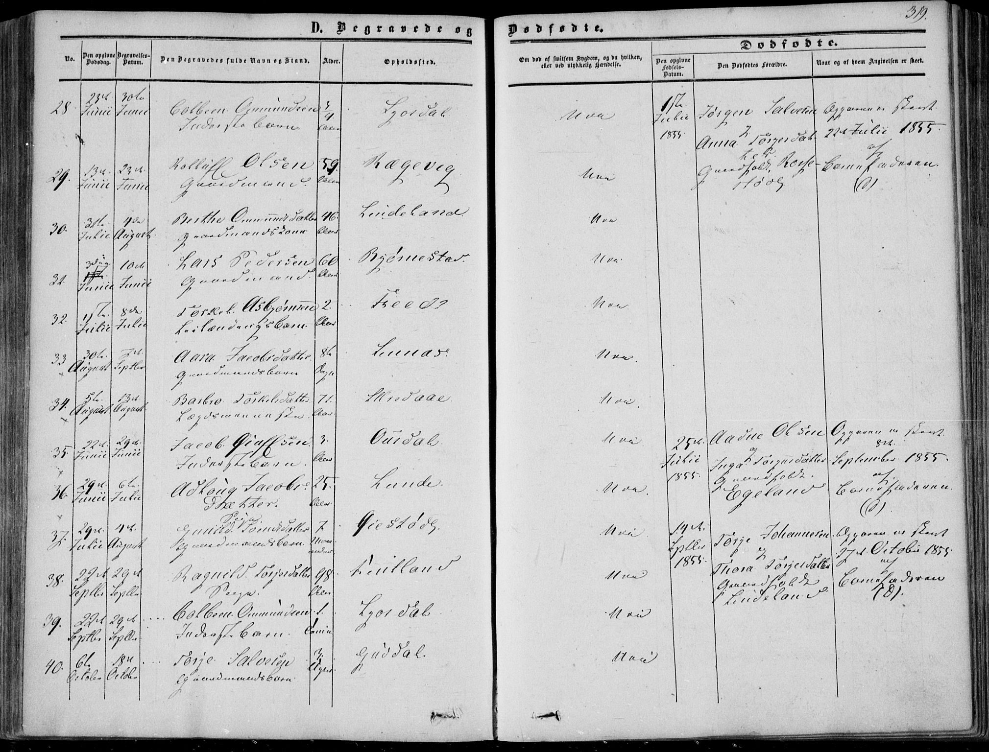 Sirdal sokneprestkontor, AV/SAK-1111-0036/F/Fa/Fab/L0002: Ministerialbok nr. A 2, 1855-1874, s. 319