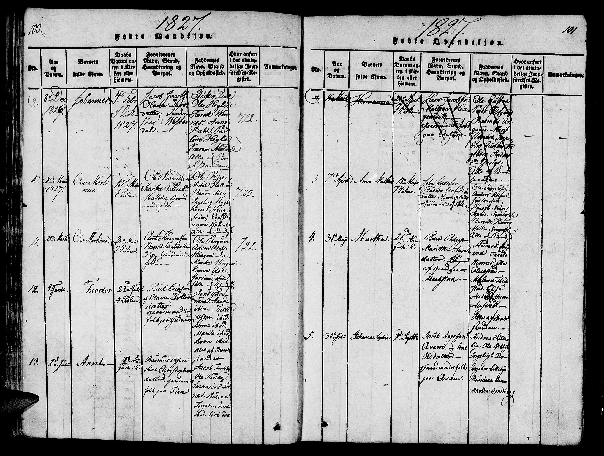 Ministerialprotokoller, klokkerbøker og fødselsregistre - Nord-Trøndelag, AV/SAT-A-1458/746/L0441: Ministerialbok nr. 746A03 /2, 1816-1827, s. 100-101