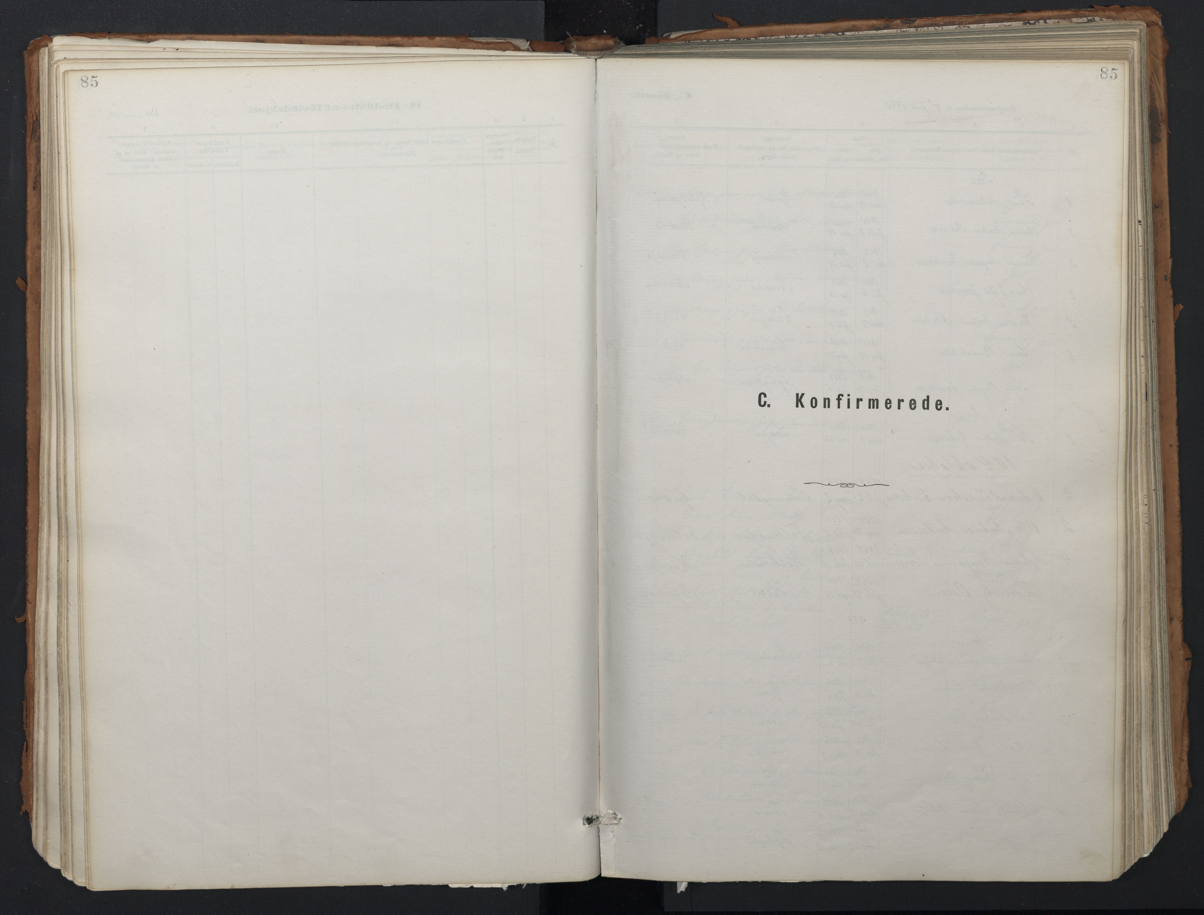 Ministerialprotokoller, klokkerbøker og fødselsregistre - Nordland, SAT/A-1459/824/L0338: Ministerialbok nr. 824A01, 1880-1915, s. 85