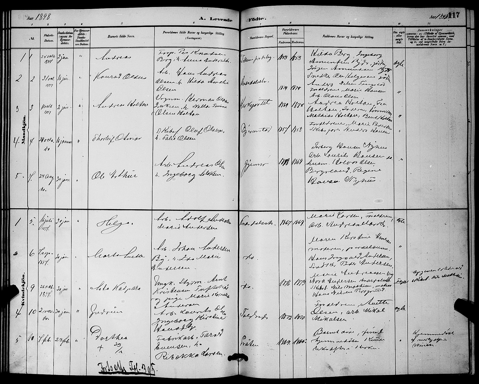 Solum kirkebøker, AV/SAKO-A-306/G/Ga/L0007: Klokkerbok nr. I 7, 1884-1898, s. 117