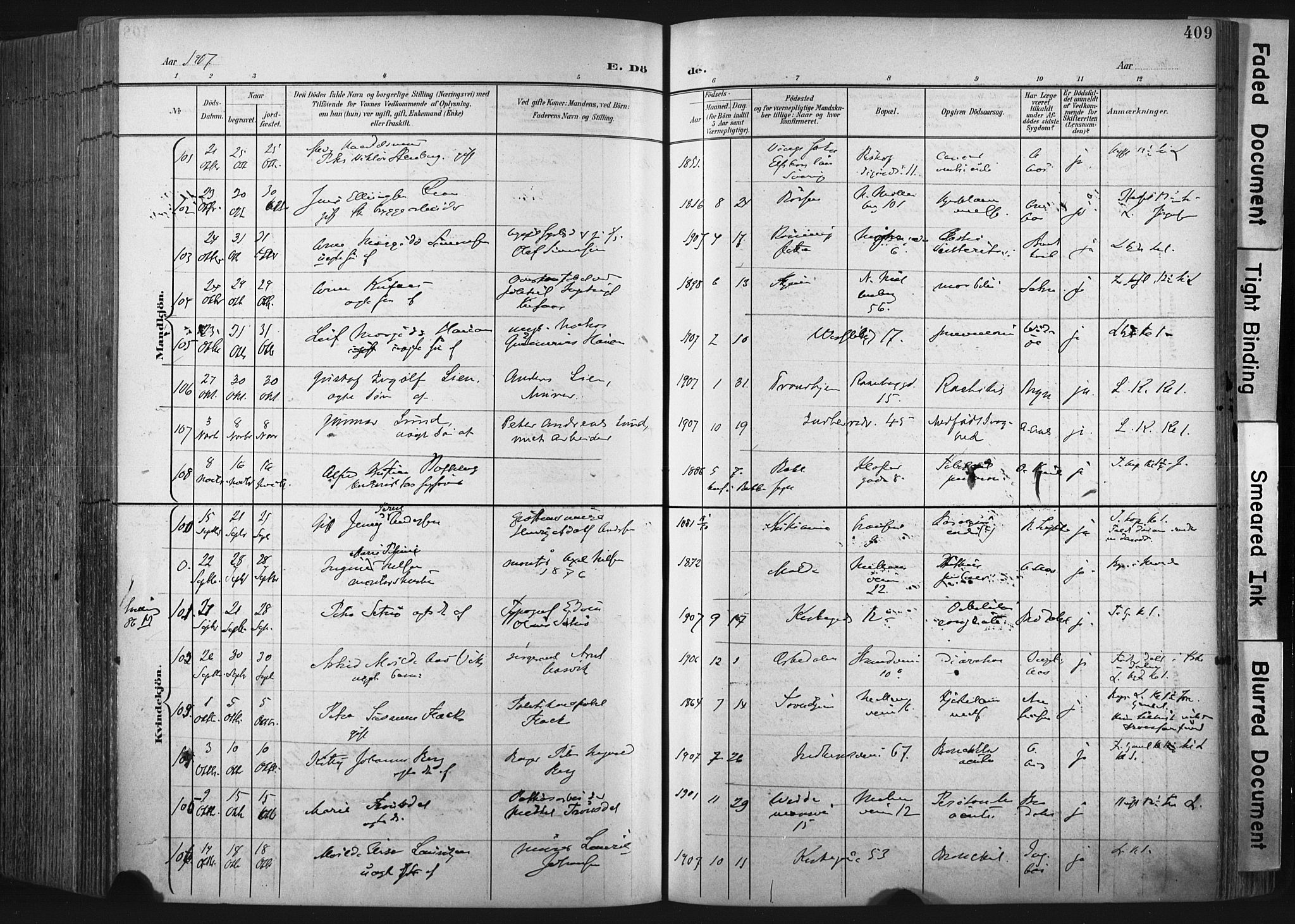 Ministerialprotokoller, klokkerbøker og fødselsregistre - Sør-Trøndelag, AV/SAT-A-1456/604/L0201: Ministerialbok nr. 604A21, 1901-1911, s. 409