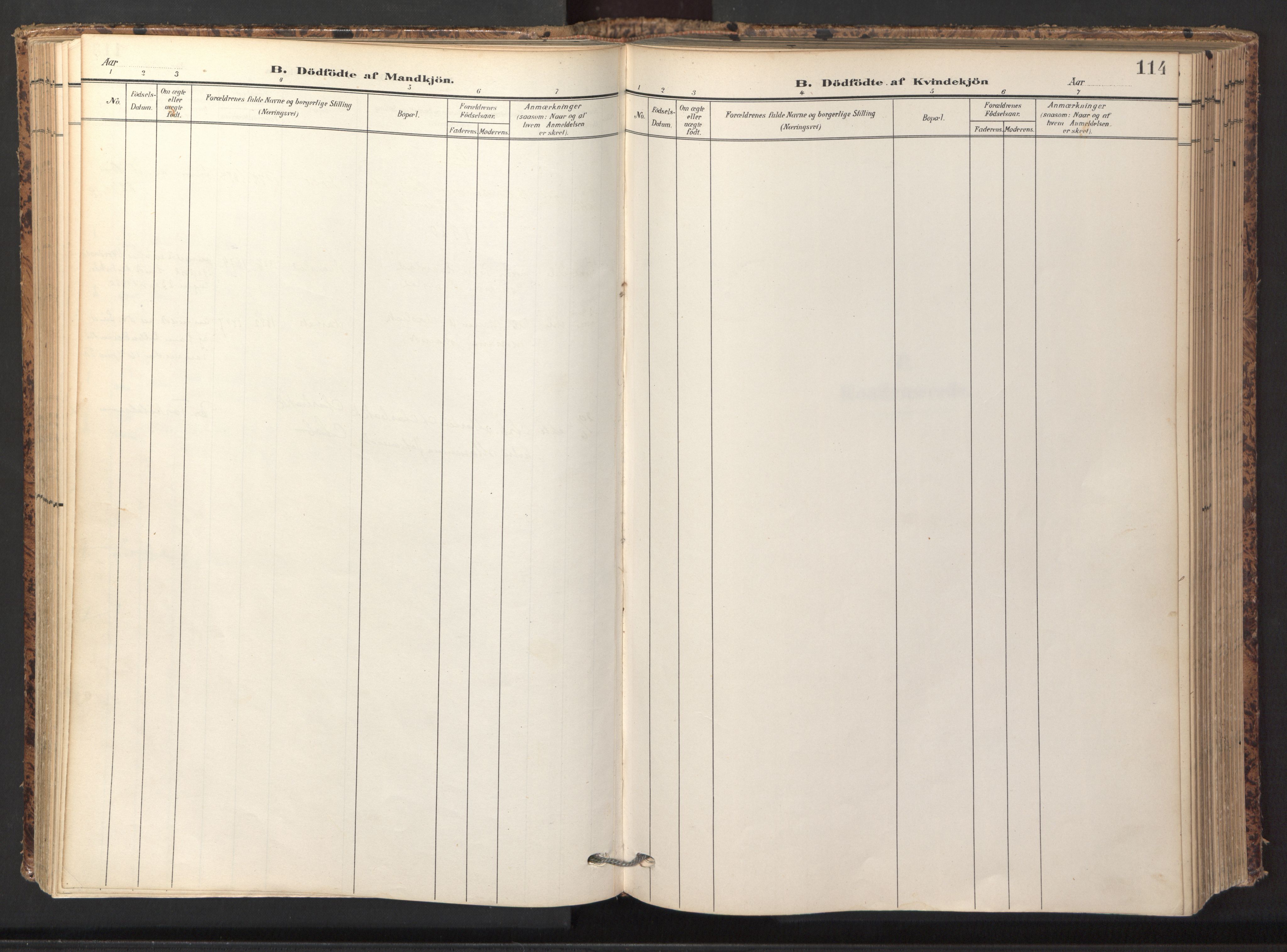 Ministerialprotokoller, klokkerbøker og fødselsregistre - Sør-Trøndelag, AV/SAT-A-1456/674/L0873: Ministerialbok nr. 674A05, 1908-1923, s. 114