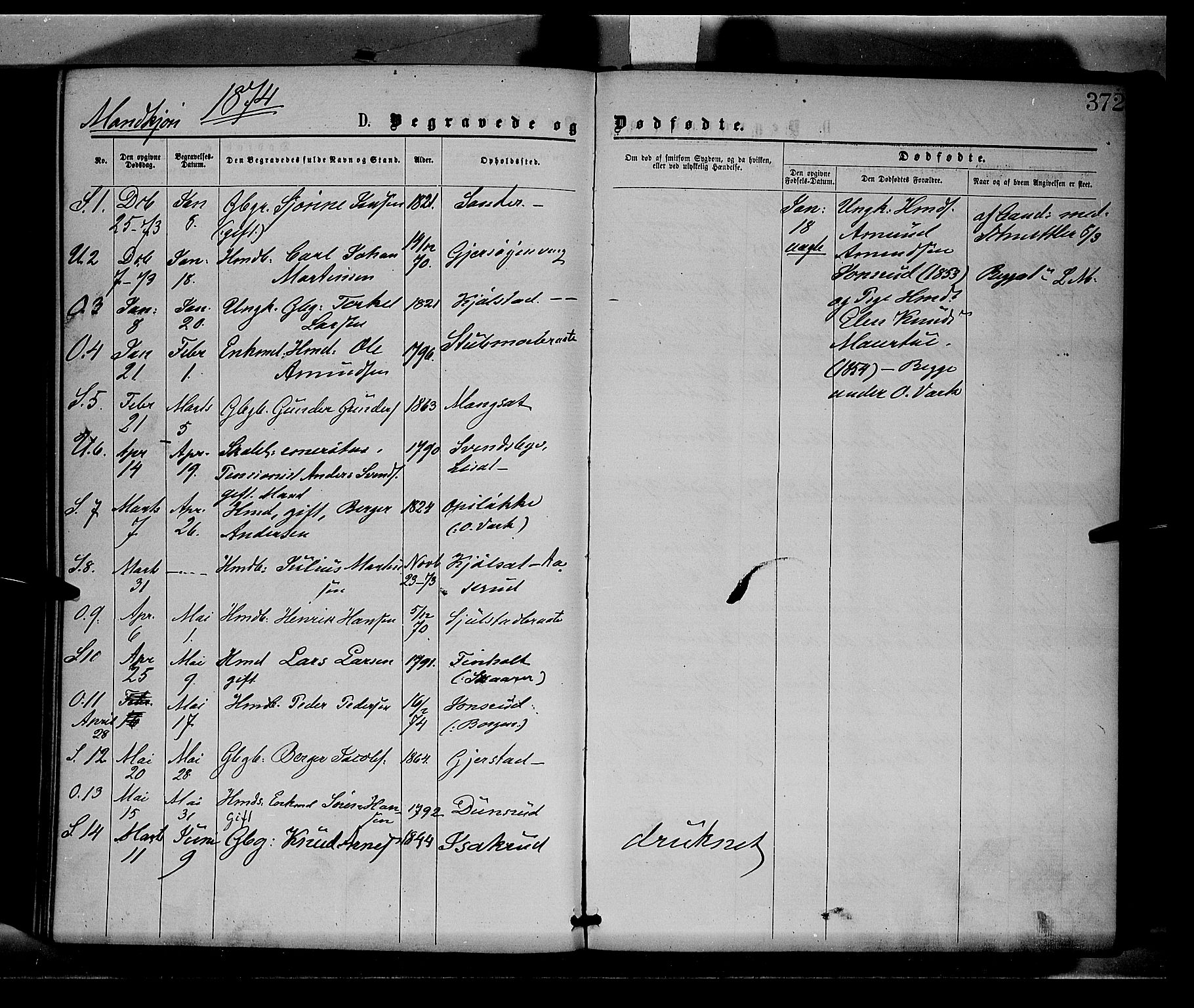 Sør-Odal prestekontor, AV/SAH-PREST-030/H/Ha/Haa/L0004: Ministerialbok nr. 4, 1870-1875, s. 372