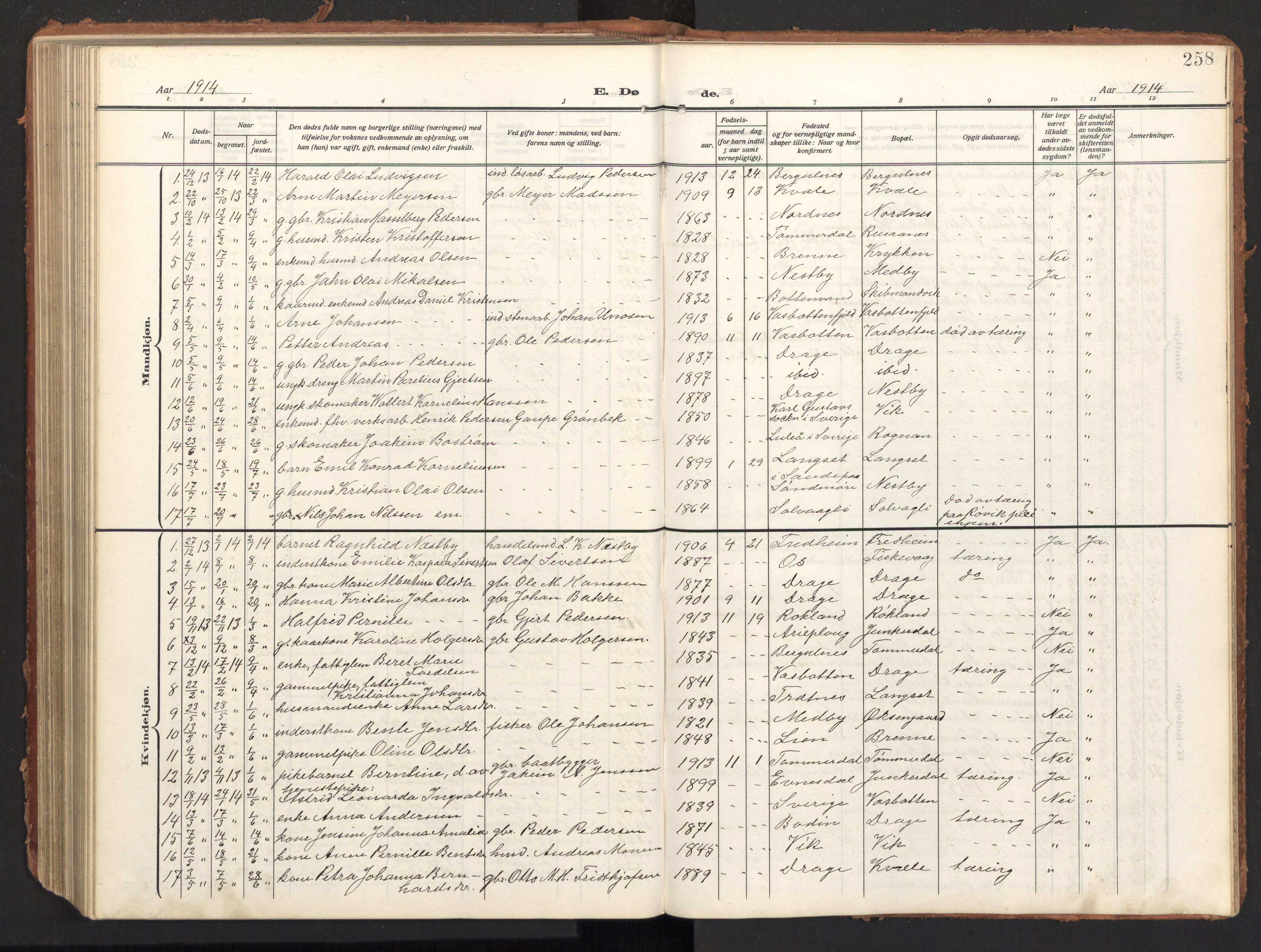 Ministerialprotokoller, klokkerbøker og fødselsregistre - Nordland, AV/SAT-A-1459/847/L0683: Klokkerbok nr. 847C11, 1908-1929, s. 258