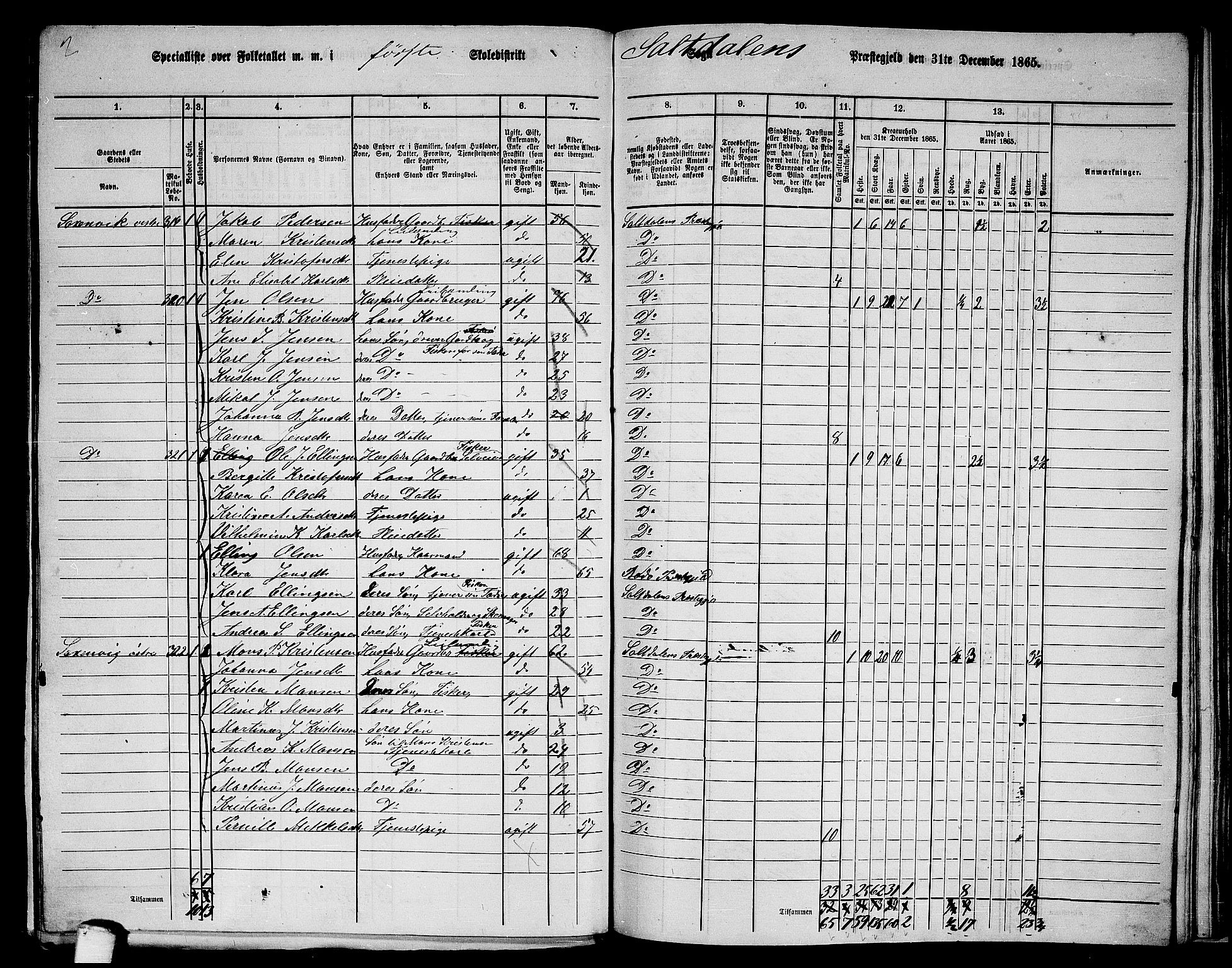 RA, Folketelling 1865 for 1840P Saltdal prestegjeld, 1865, s. 20