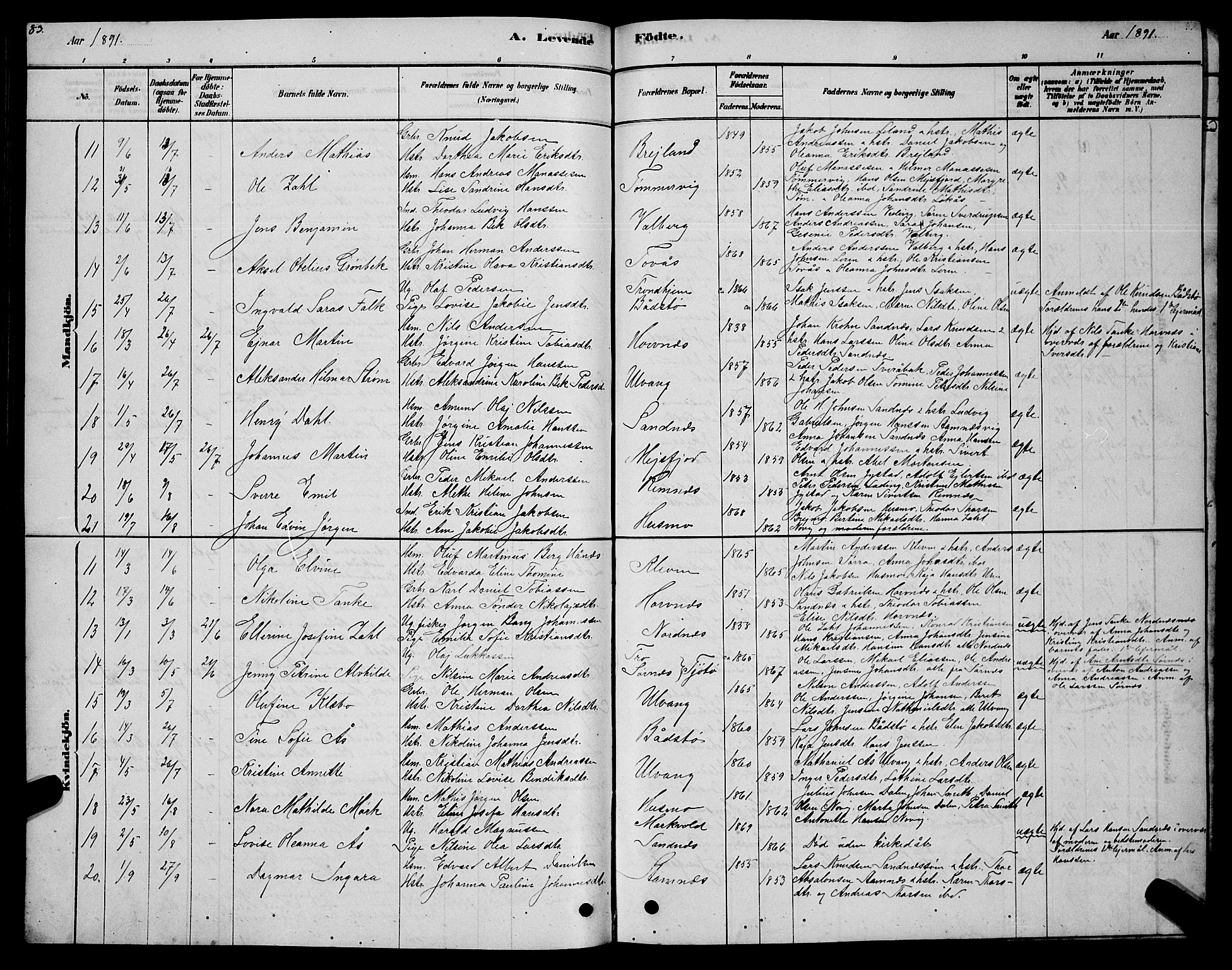 Ministerialprotokoller, klokkerbøker og fødselsregistre - Nordland, AV/SAT-A-1459/831/L0477: Klokkerbok nr. 831C04, 1878-1897, s. 83