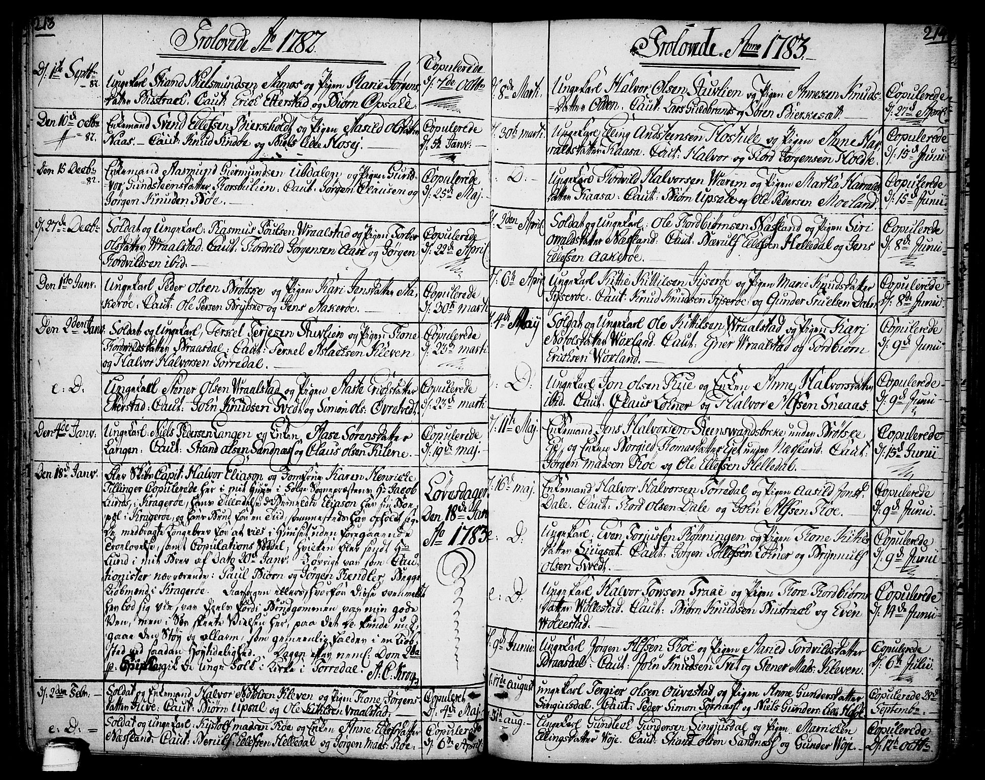 Drangedal kirkebøker, AV/SAKO-A-258/F/Fa/L0003: Ministerialbok nr. 3, 1768-1814, s. 213-214