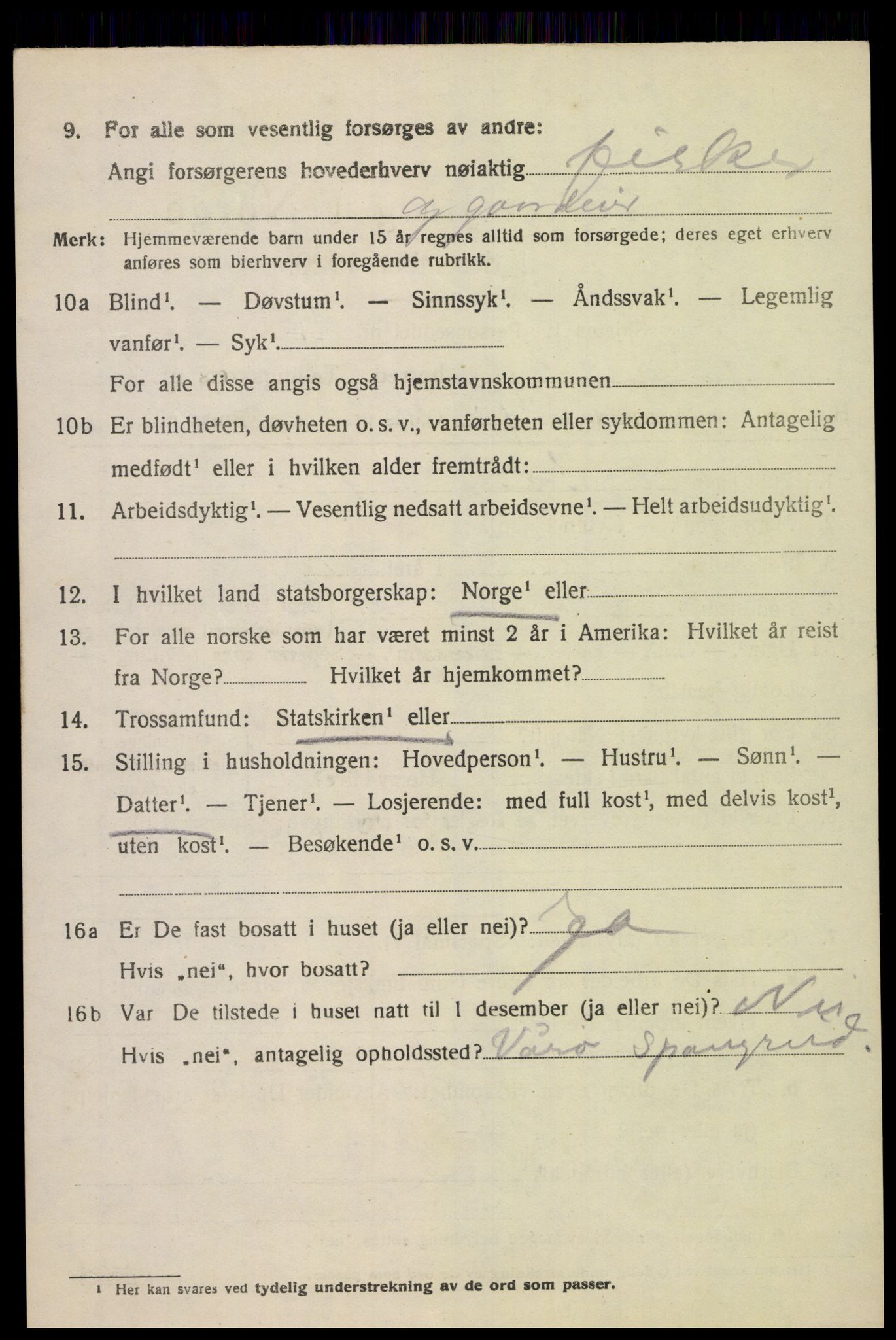 SAK, Folketelling 1920 for 1029 Sør-Audnedal herred, 1920, s. 4232