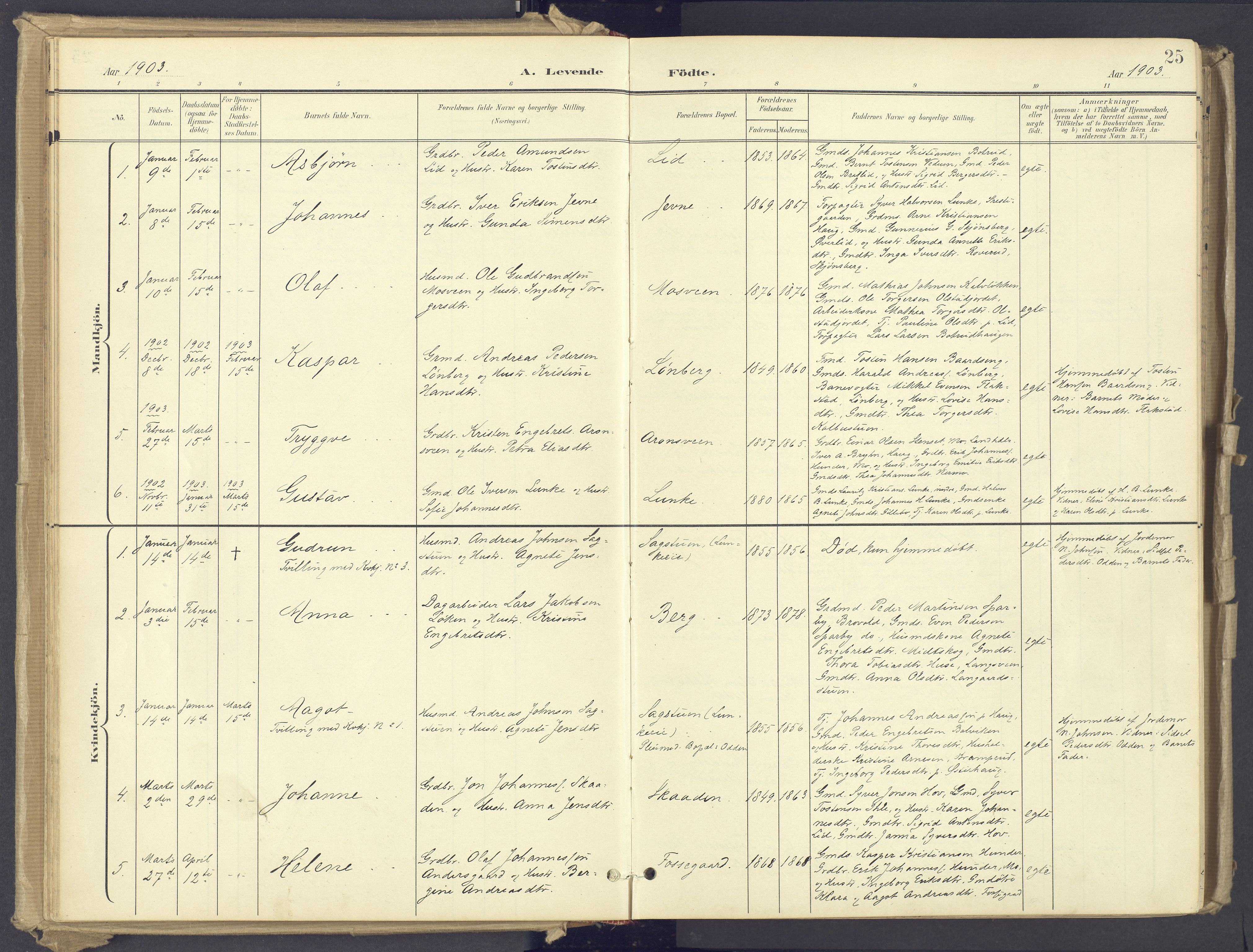 Øyer prestekontor, AV/SAH-PREST-084/H/Ha/Haa/L0012: Ministerialbok nr. 12, 1897-1920, s. 25