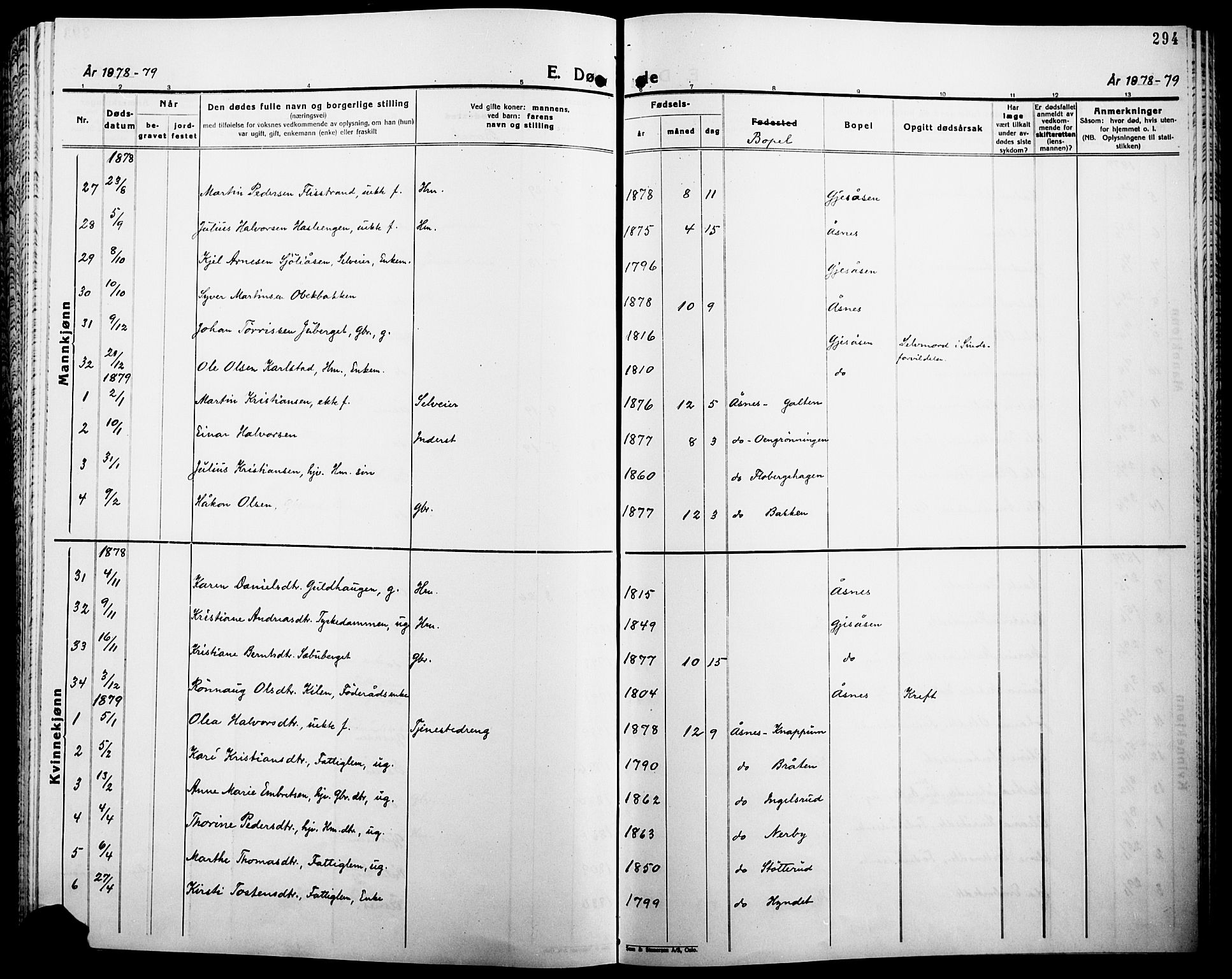 Åsnes prestekontor, AV/SAH-PREST-042/H/Ha/Haa/L0000B: Ministerialbok, 1870-1889, s. 294