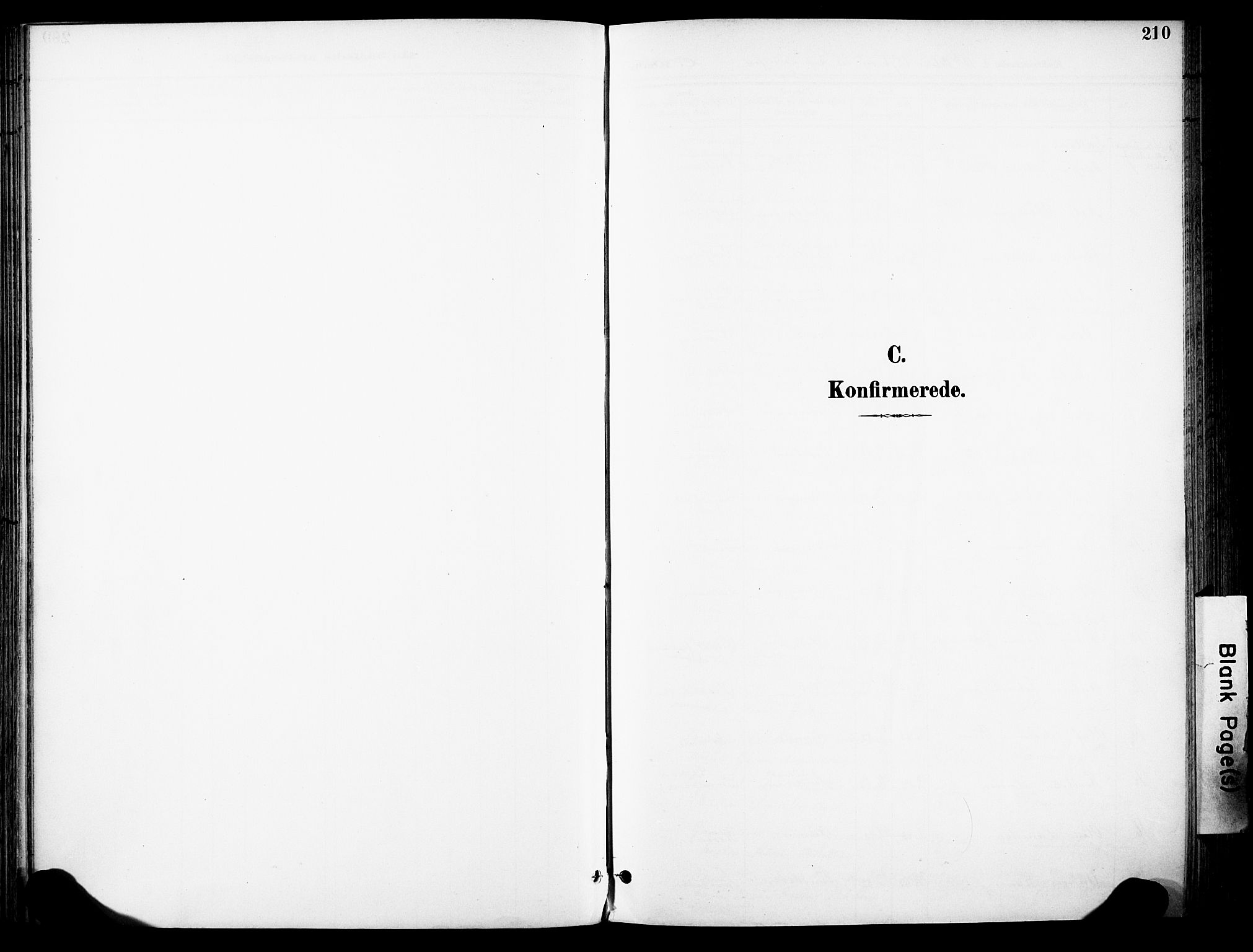 Eiker kirkebøker, SAKO/A-4/F/Fb/L0003: Ministerialbok nr. II 3, 1896-1942, s. 210