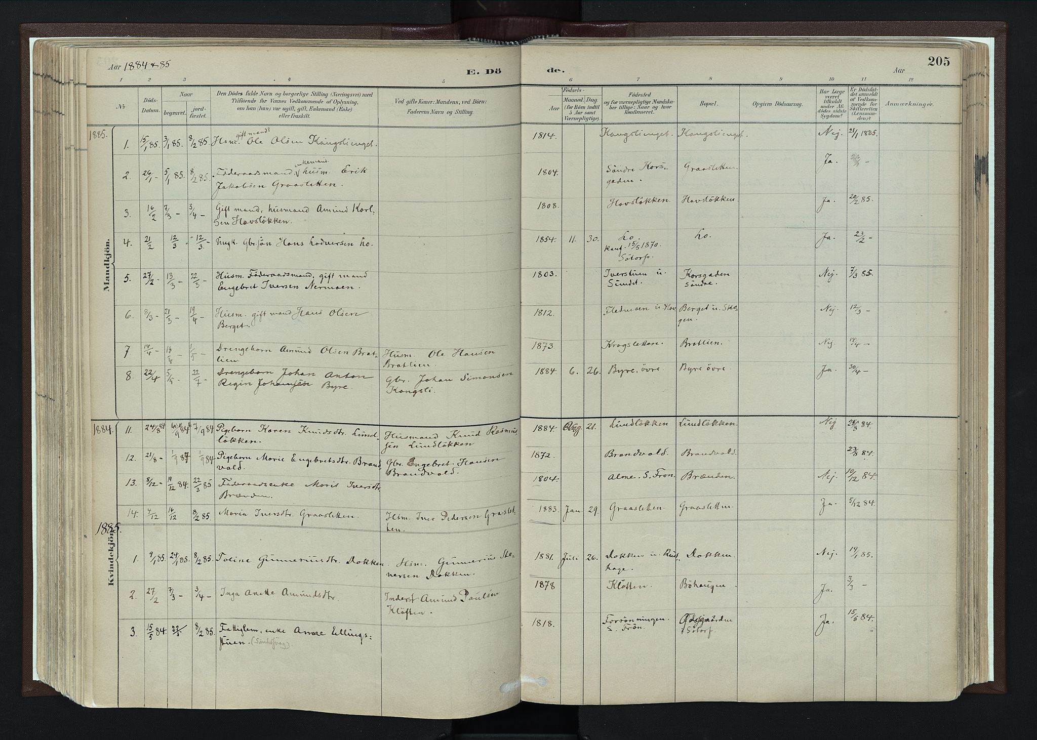 Nord-Fron prestekontor, AV/SAH-PREST-080/H/Ha/Haa/L0004: Ministerialbok nr. 4, 1884-1914, s. 205