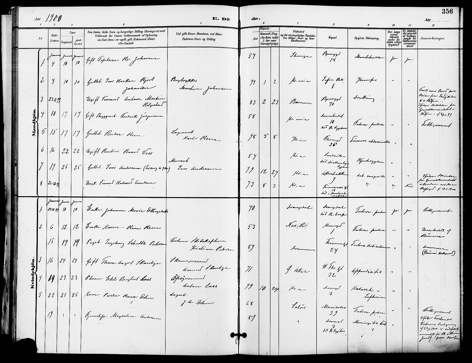 Gamle Aker prestekontor Kirkebøker, SAO/A-10617a/F/L0011: Ministerialbok nr. 11, 1896-1901, s. 356