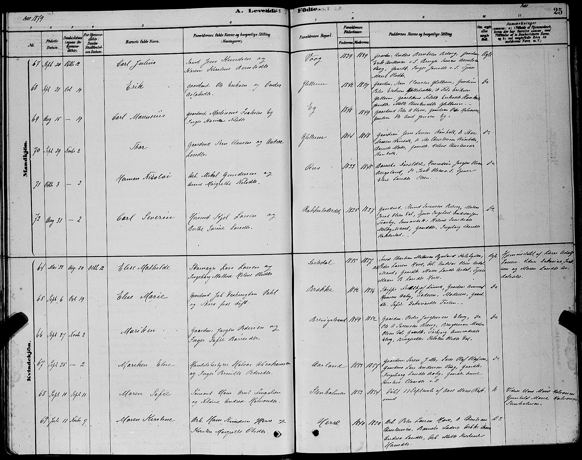 Bamble kirkebøker, AV/SAKO-A-253/G/Ga/L0008: Klokkerbok nr. I 8, 1878-1888, s. 25