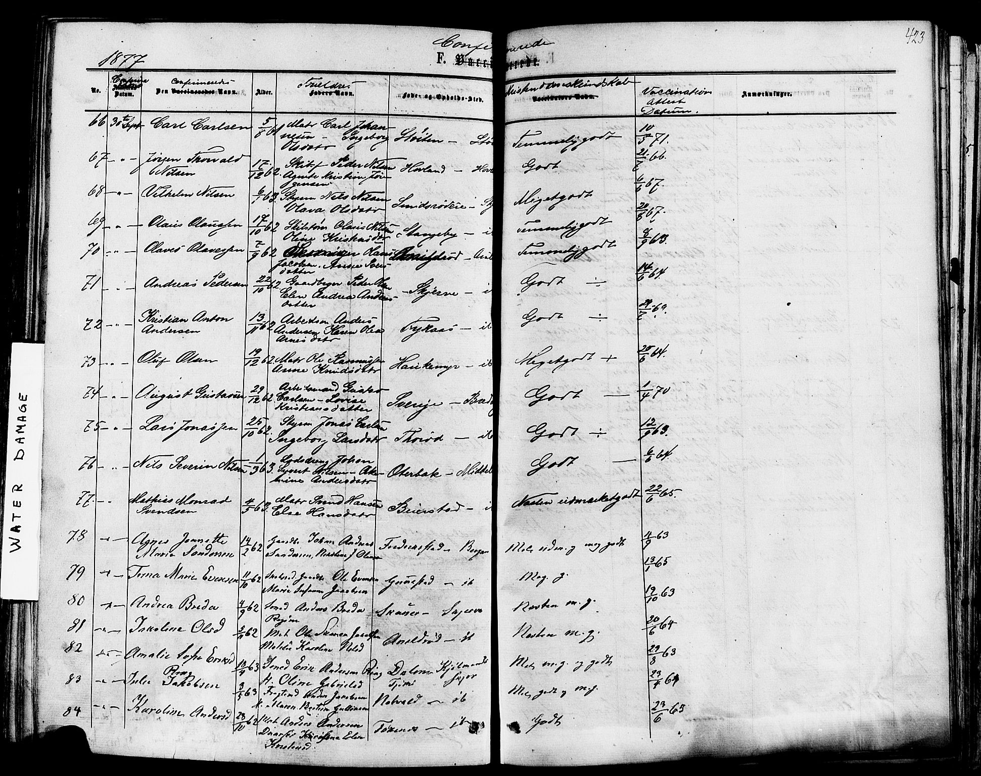 Nøtterøy kirkebøker, AV/SAKO-A-354/F/Fa/L0007: Ministerialbok nr. I 7, 1865-1877, s. 423