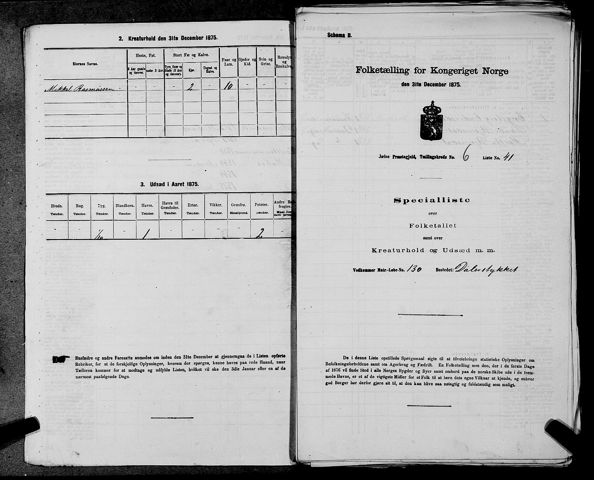 SAST, Folketelling 1875 for 1138P Jelsa prestegjeld, 1875, s. 497