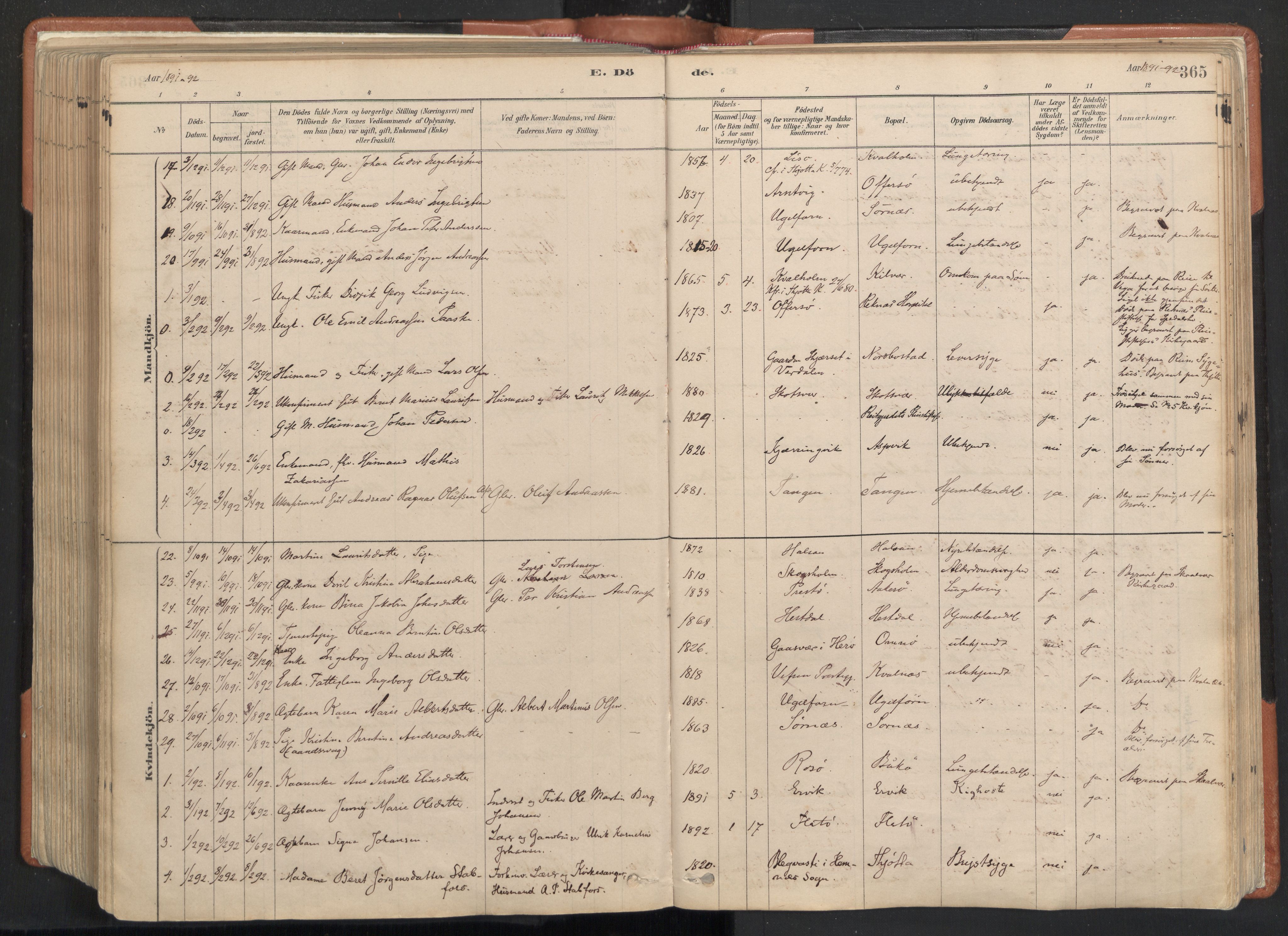 Ministerialprotokoller, klokkerbøker og fødselsregistre - Nordland, AV/SAT-A-1459/817/L0264: Ministerialbok nr. 817A04, 1878-1907, s. 365