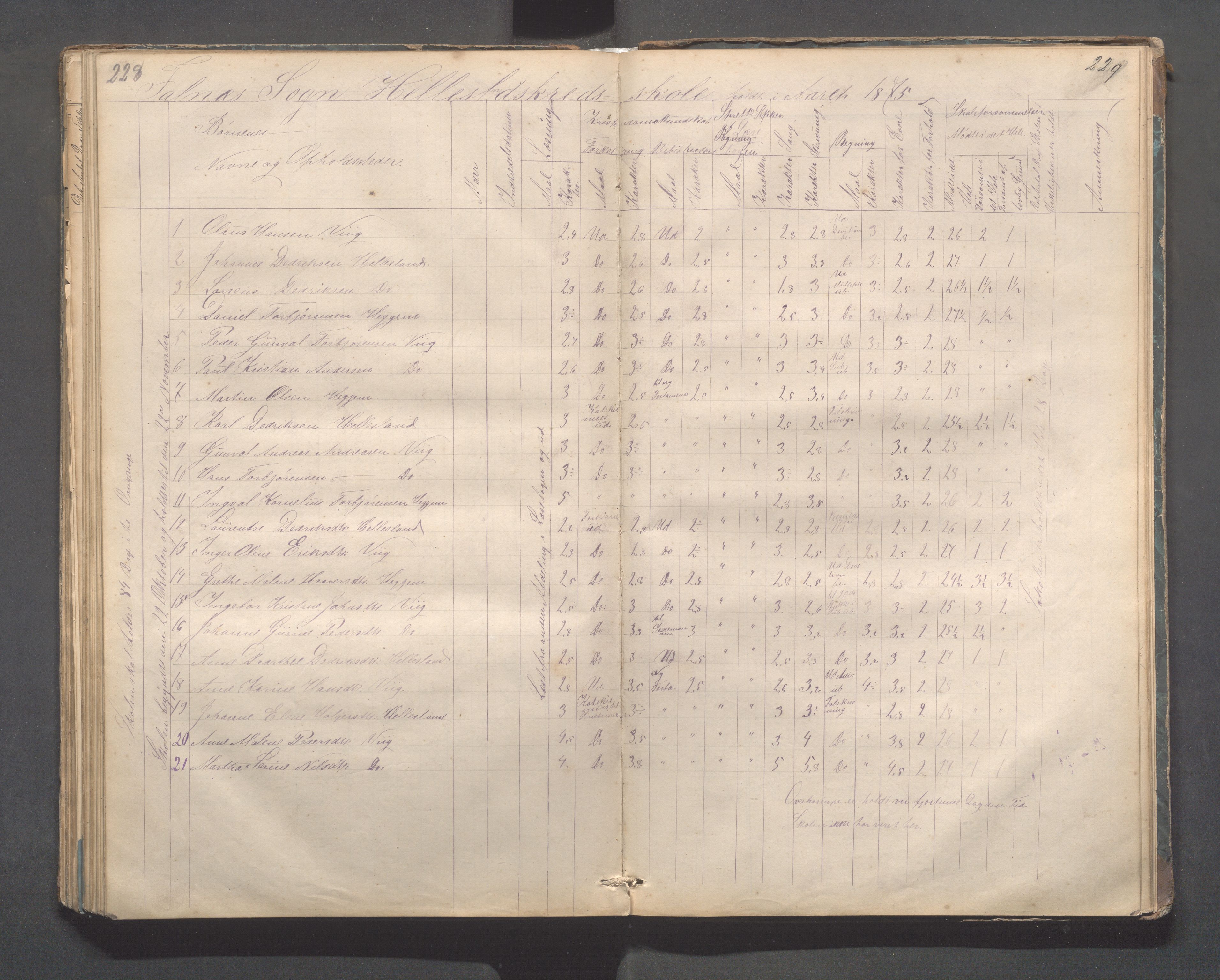 Skudenes kommune - Dale - Hillesland - Snørteland skolekretser, IKAR/A-306/H/L0002: Dale - Hillesland - Snørteland, 1869-1882, s. 228-229