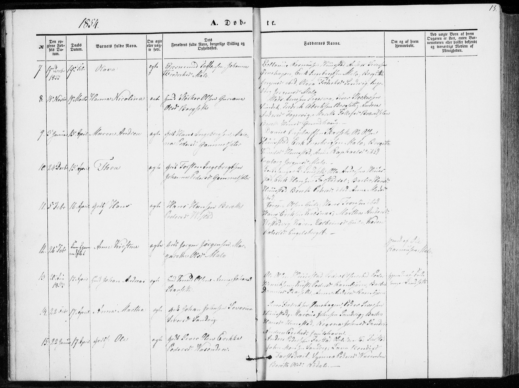 Ministerialprotokoller, klokkerbøker og fødselsregistre - Møre og Romsdal, AV/SAT-A-1454/566/L0767: Ministerialbok nr. 566A06, 1852-1868, s. 13